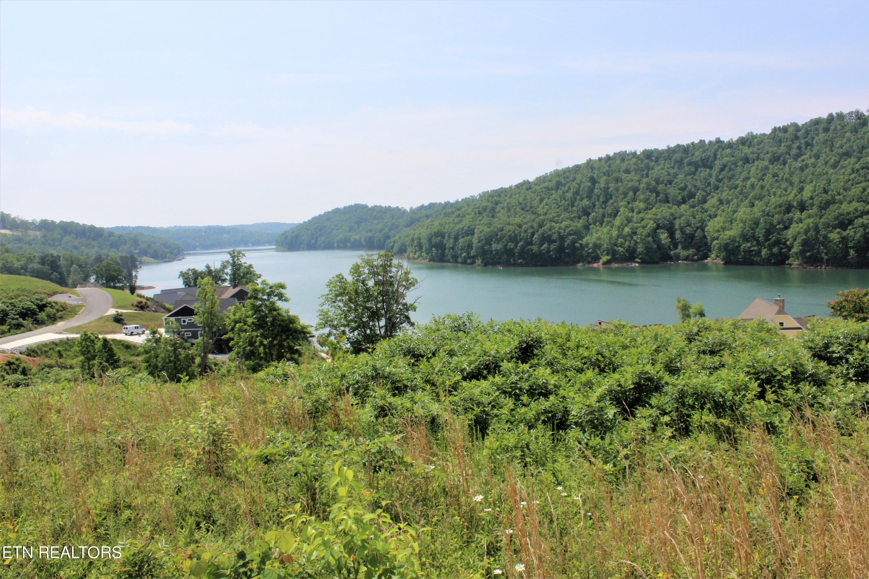 Norris Lake Real Estate - Image# 10