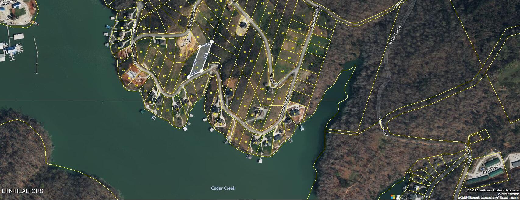 Norris Lake Real Estate - Image# 1