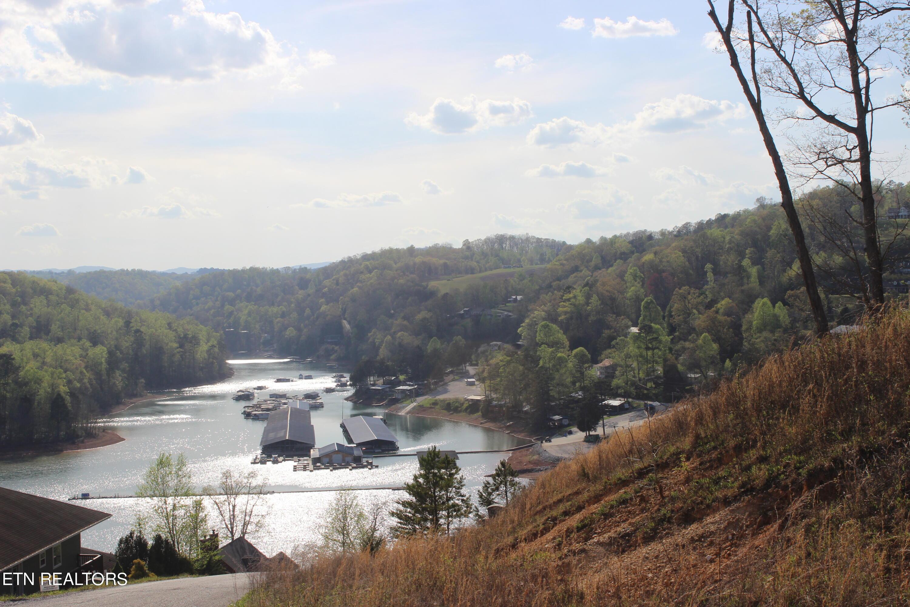 Norris Lake Real Estate - Image# 12