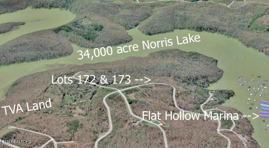 Norris Lake Real Estate - Image# 5