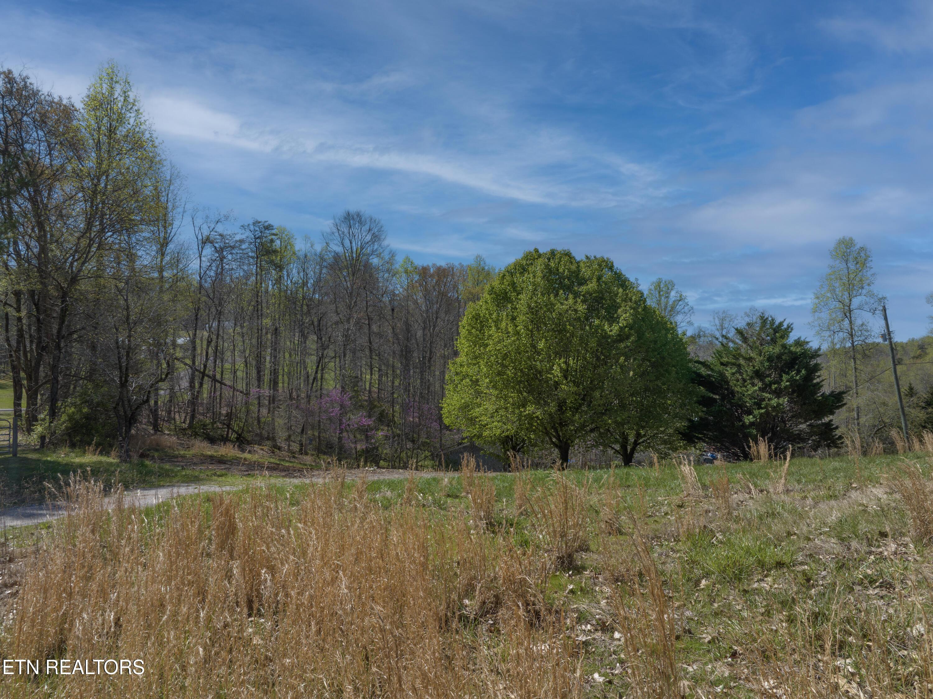 Norris Lake Real Estate - Image# 1