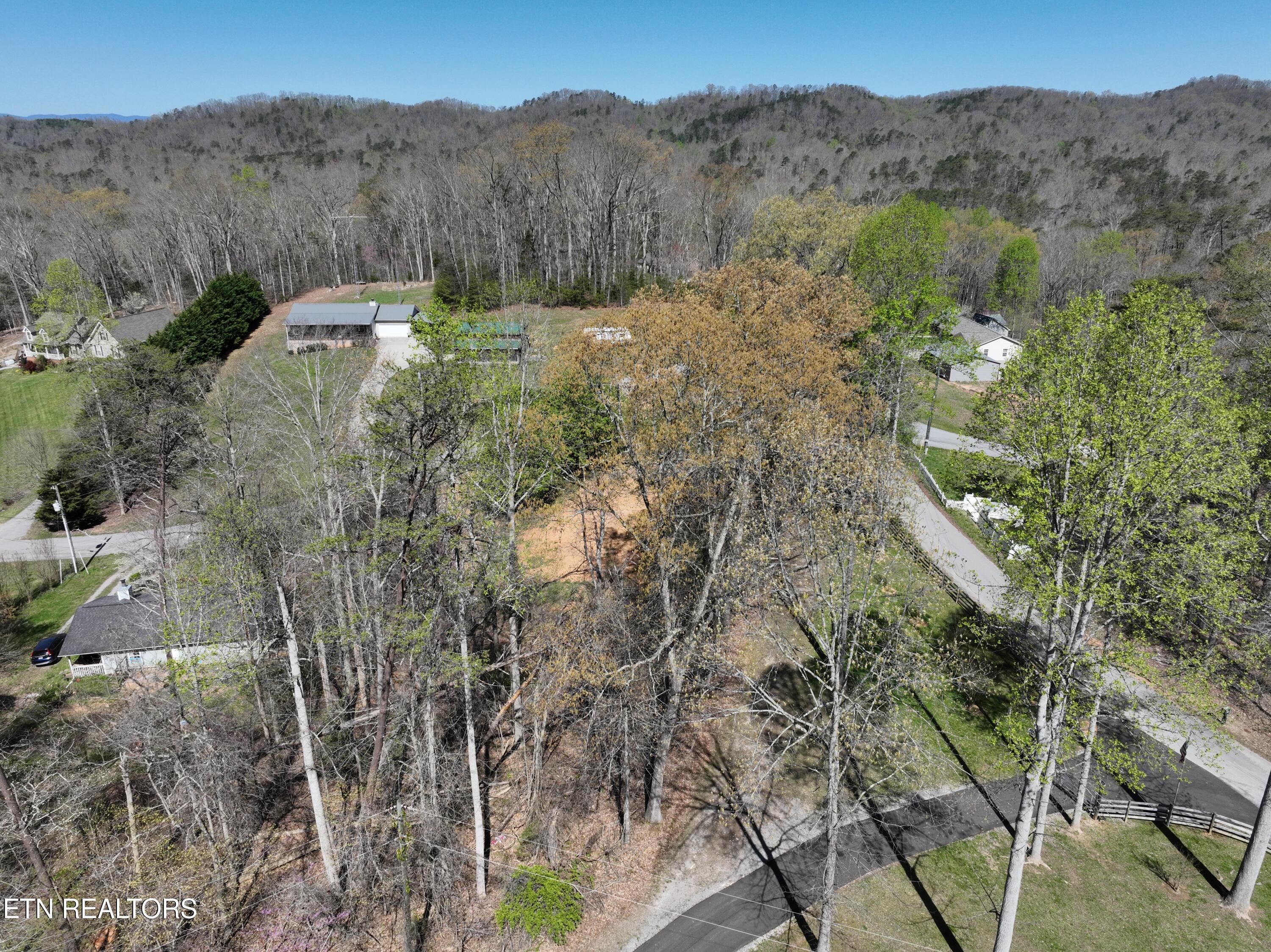 Norris Lake Real Estate - Image# 5