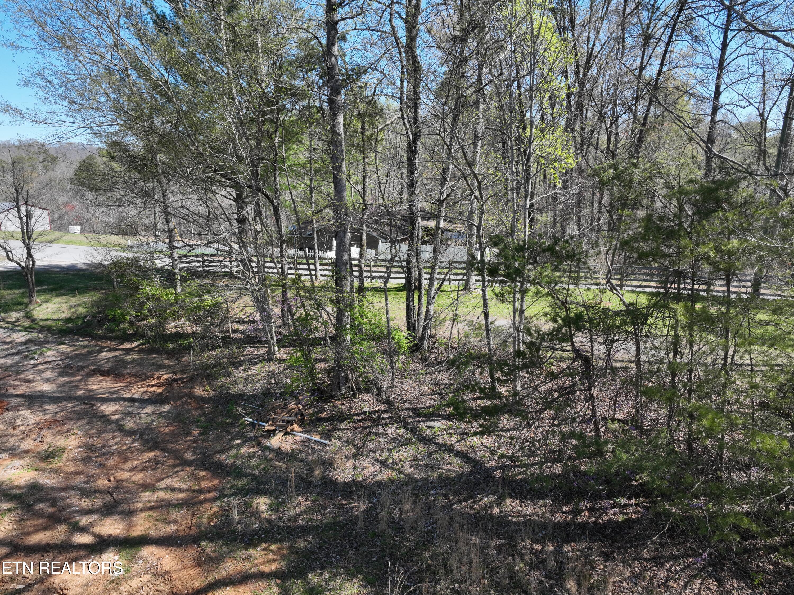 Norris Lake Real Estate - Image# 22