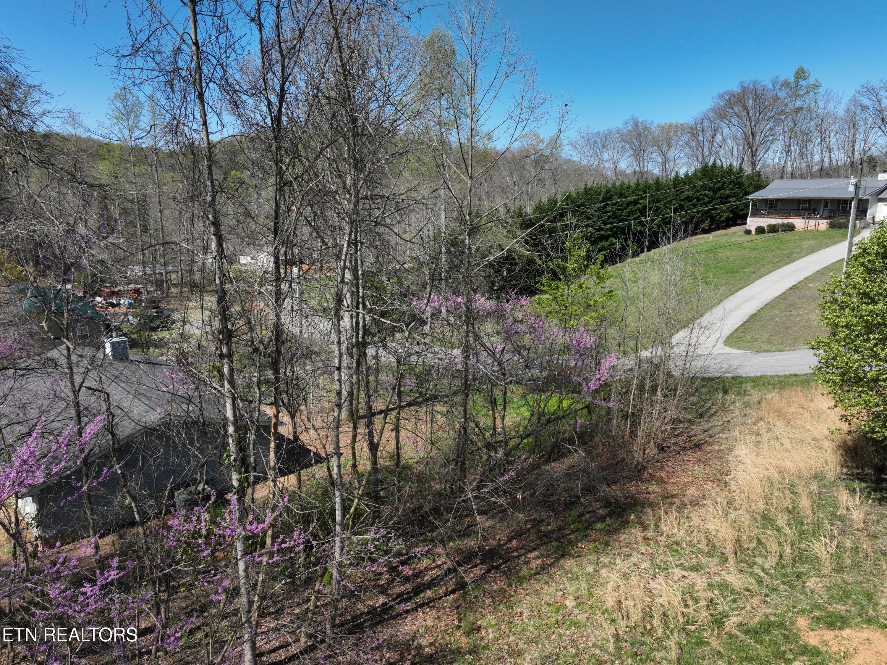 Norris Lake Real Estate - Image# 24