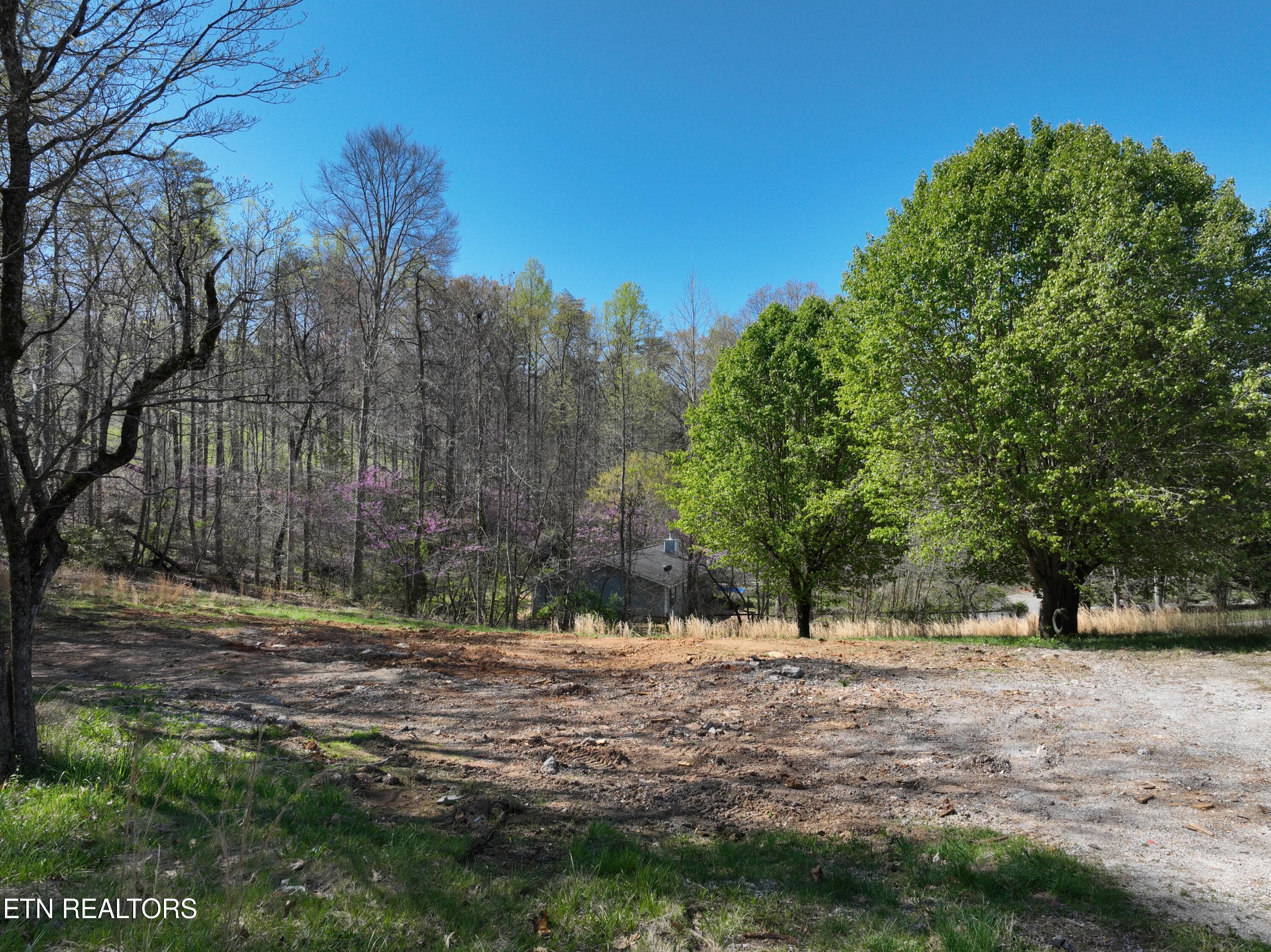 Norris Lake Real Estate - Image# 37