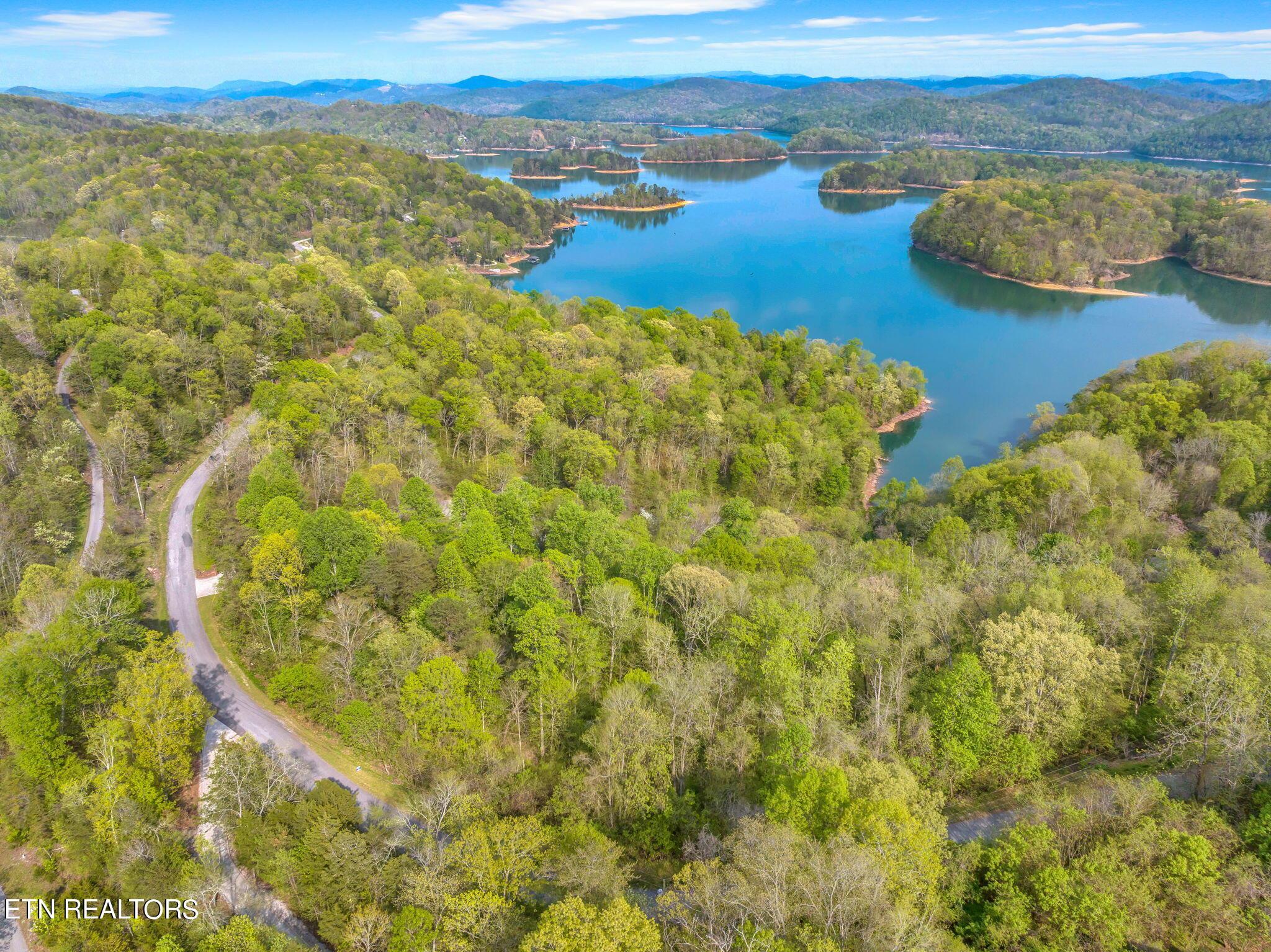 Norris Lake Real Estate - Image# 10