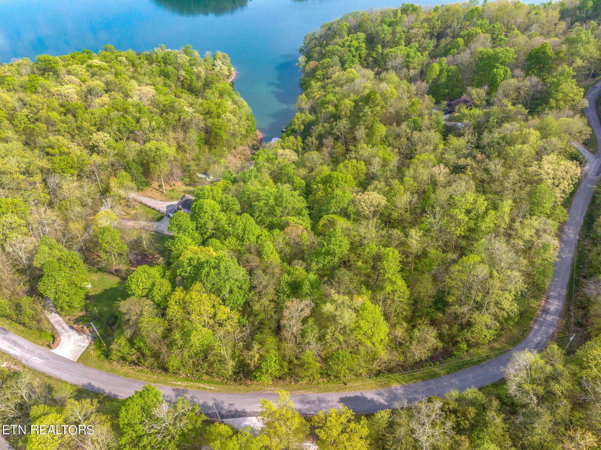 Norris Lake Real Estate - Image# 2