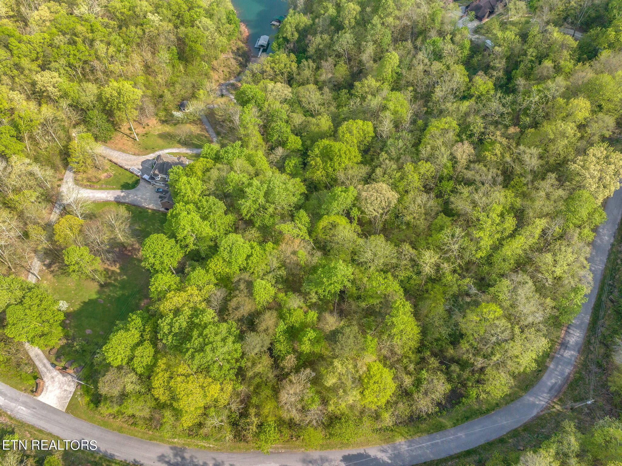 Norris Lake Real Estate - Image# 11