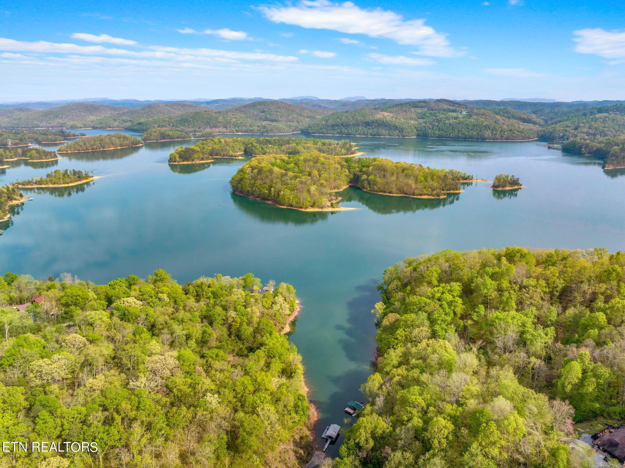 Norris Lake Real Estate - Image# 12