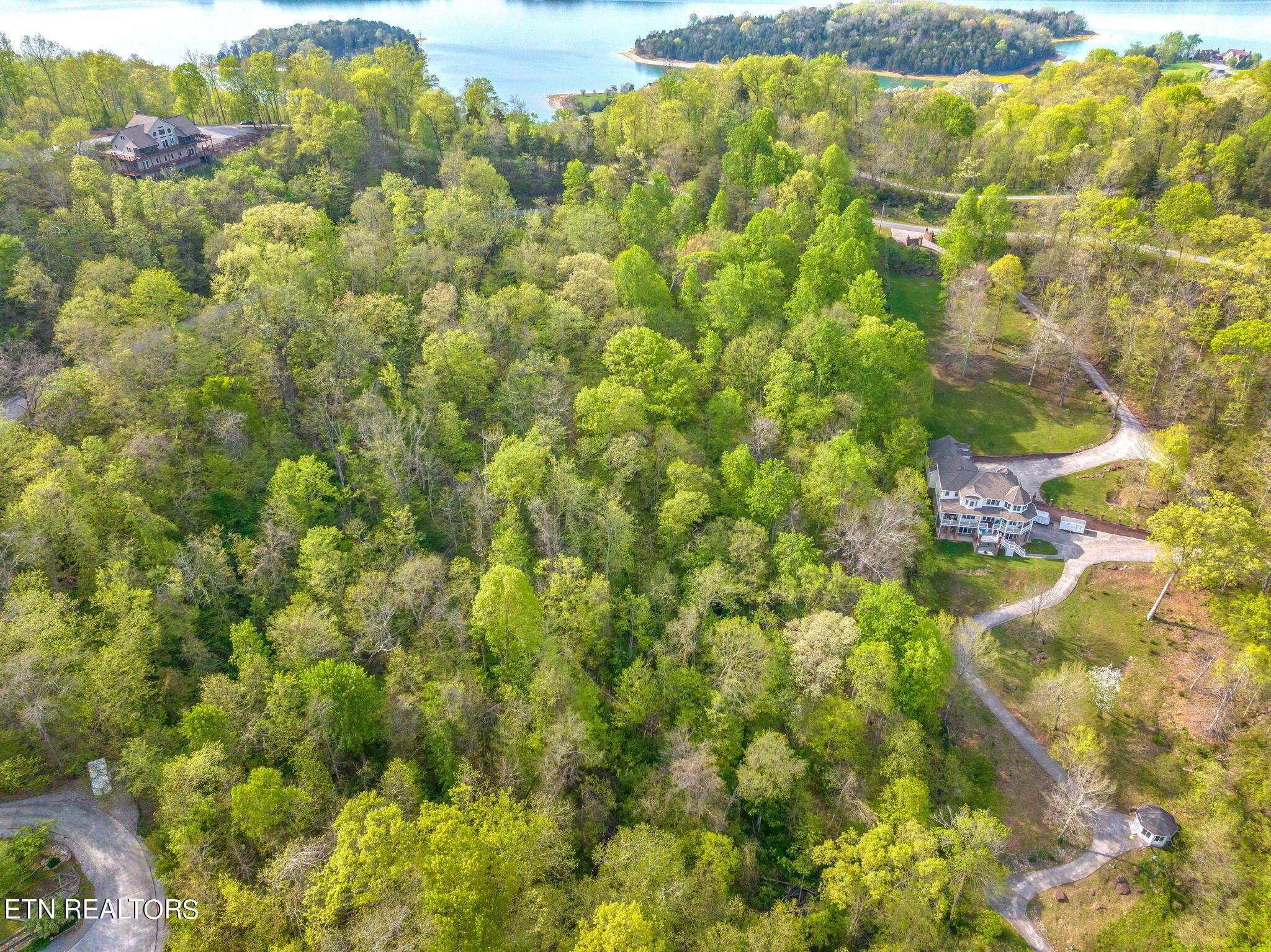 Norris Lake Real Estate - Image# 16