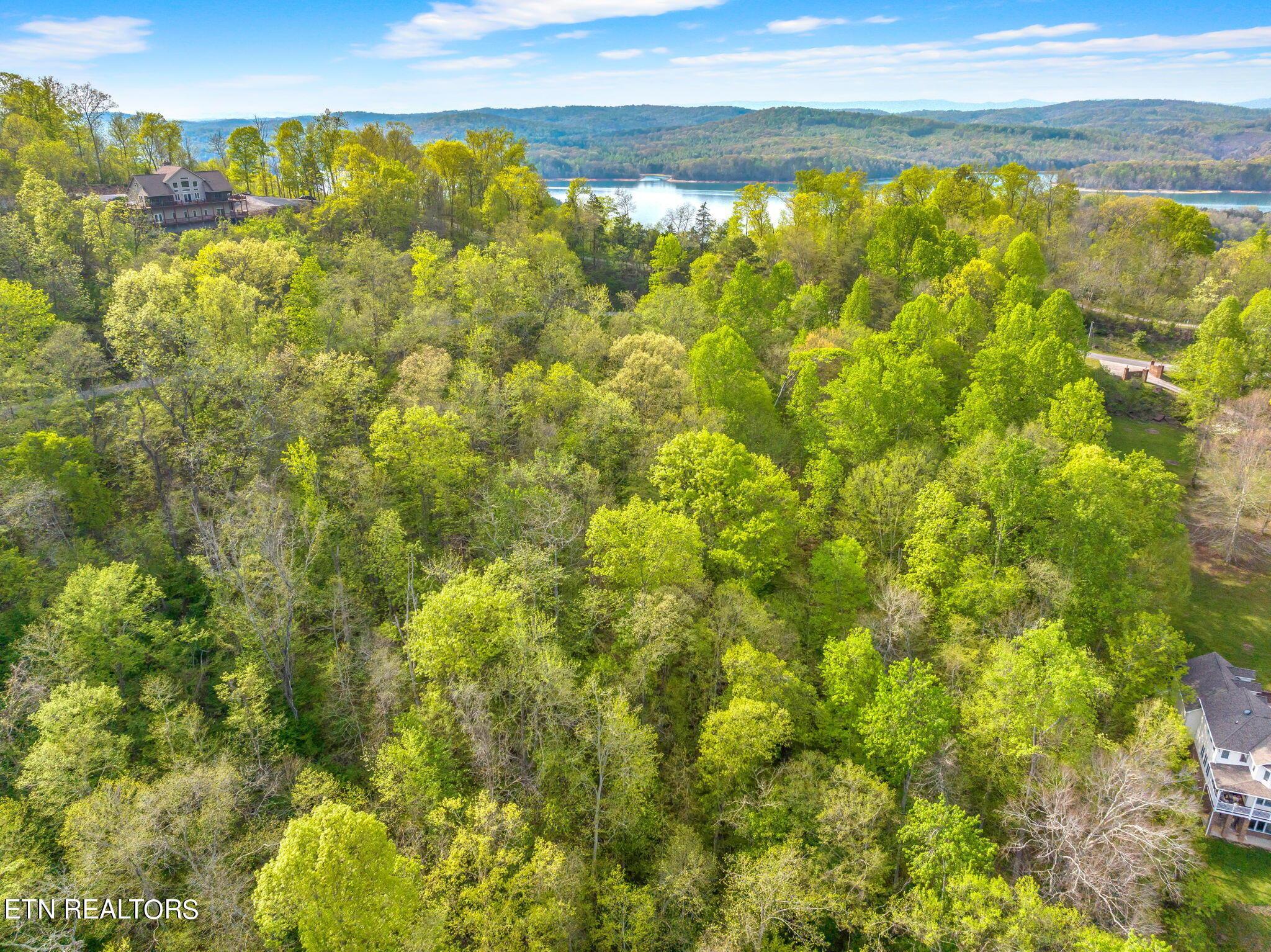 Norris Lake Real Estate - Image# 17