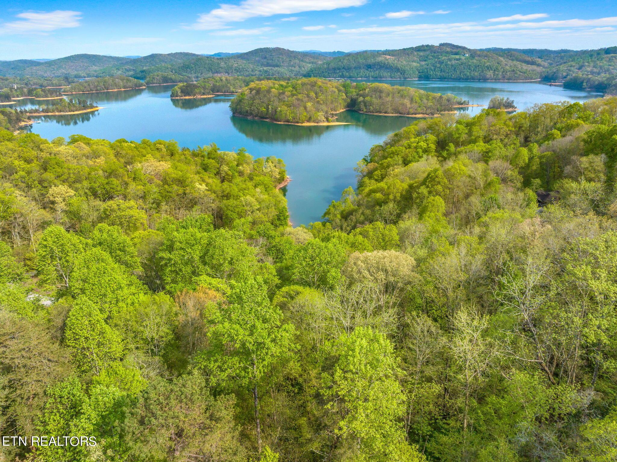 Norris Lake Real Estate - Image# 18