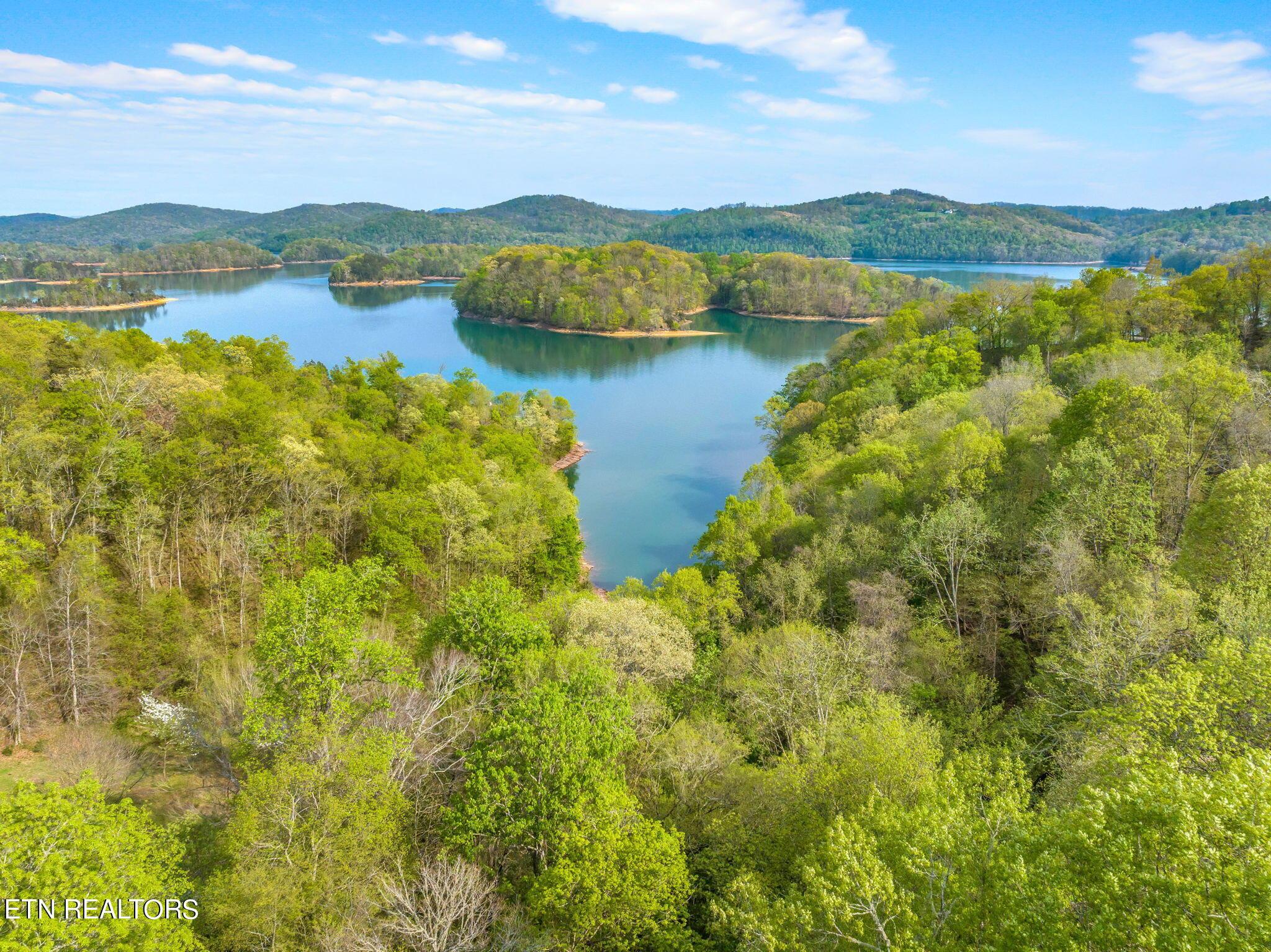 Norris Lake Real Estate - Image# 19