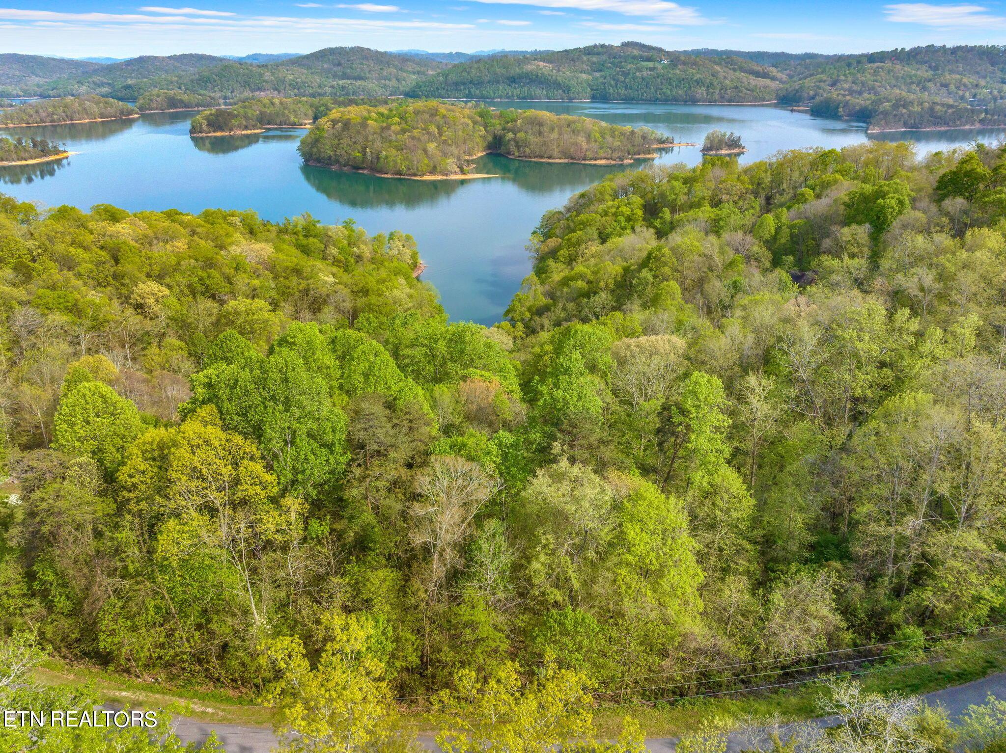 Norris Lake Real Estate - Image# 20