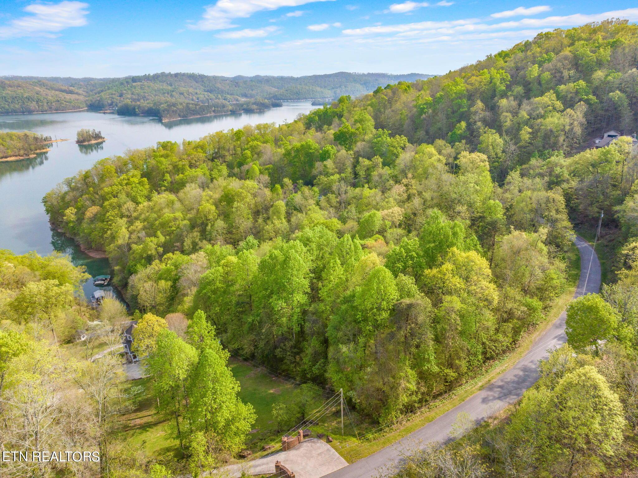 Norris Lake Real Estate - Image# 3