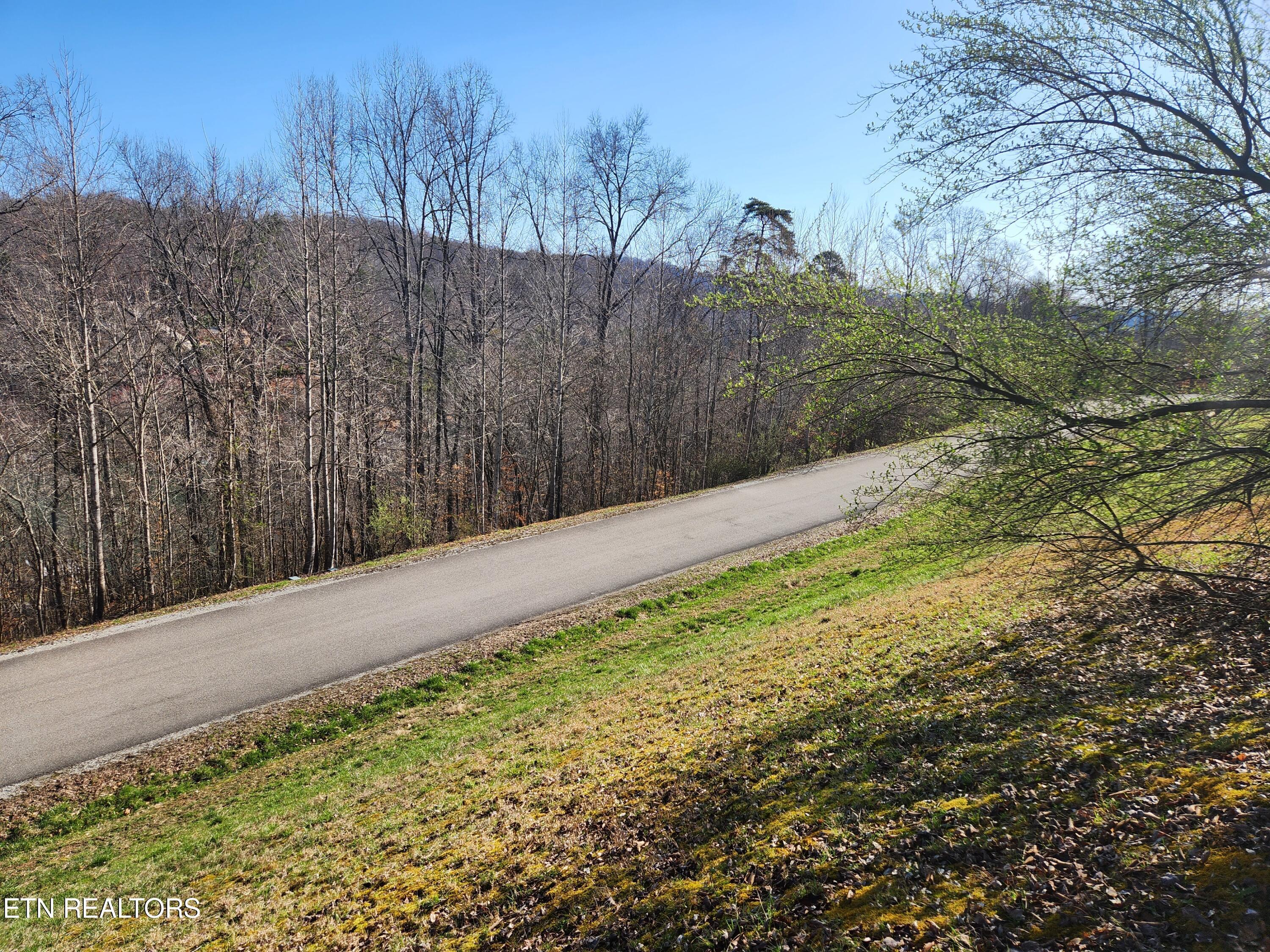 Norris Lake Real Estate - Image# 4