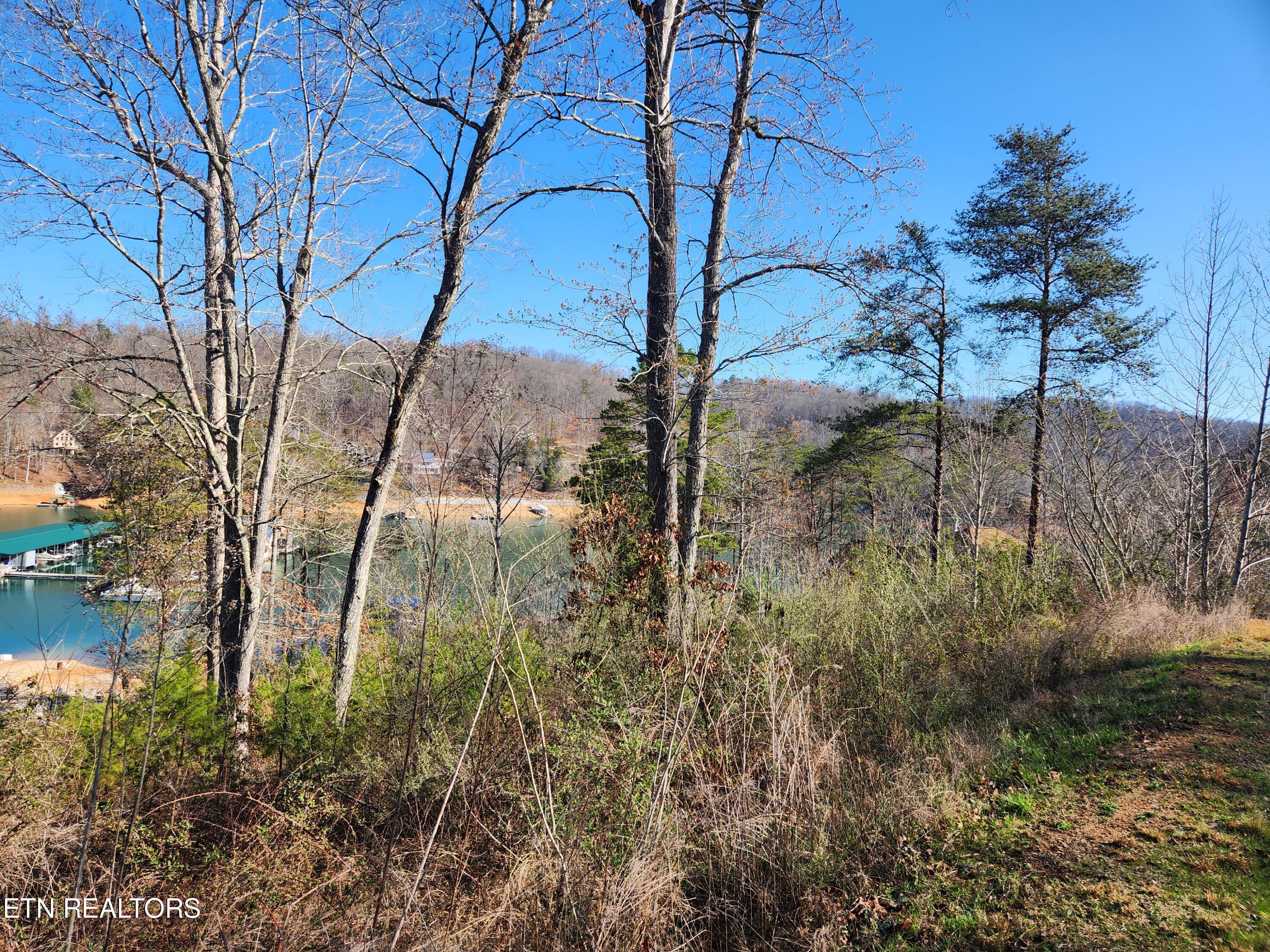 Norris Lake Real Estate - Image# 2