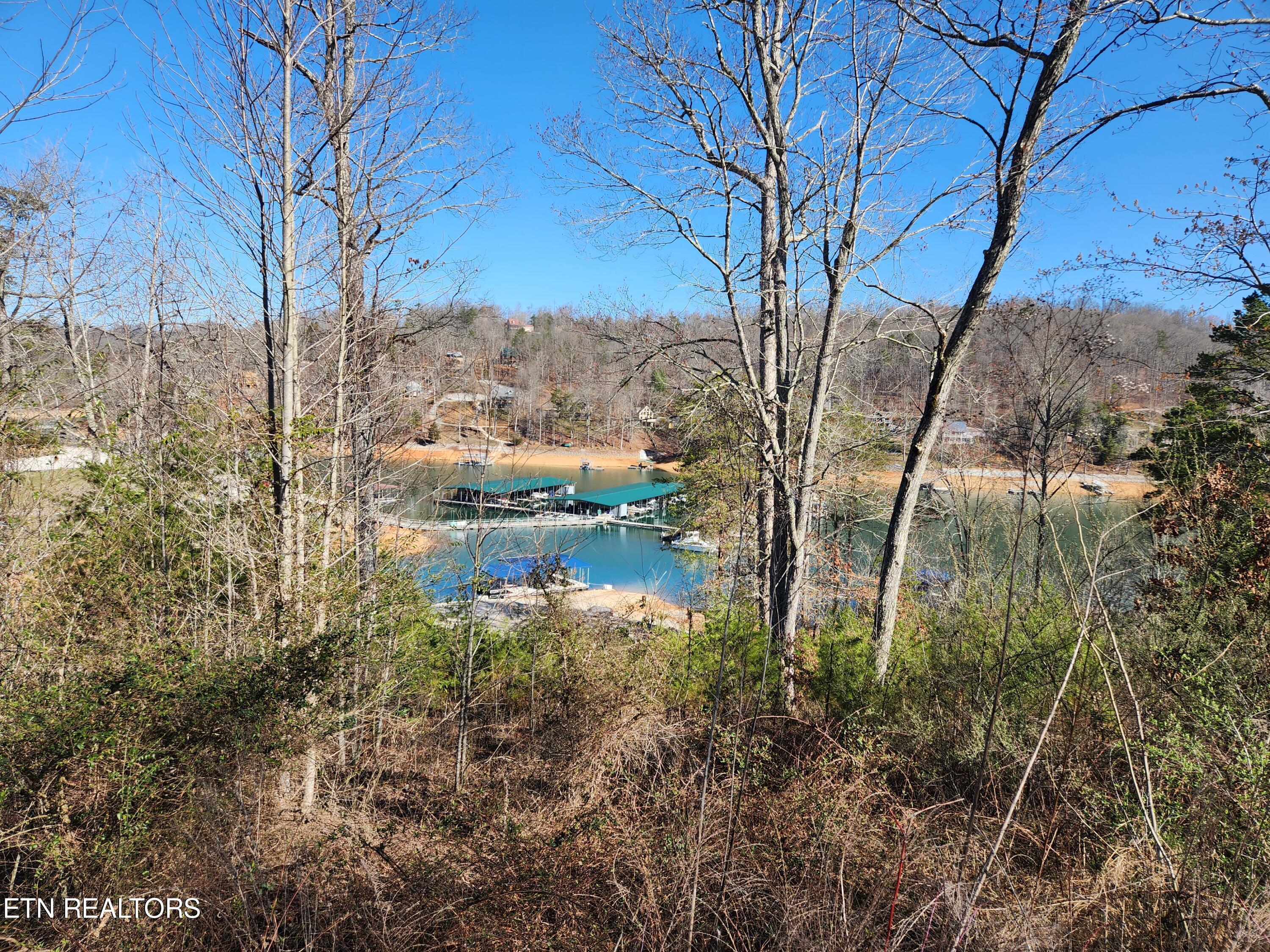 Norris Lake Real Estate - Image# 3