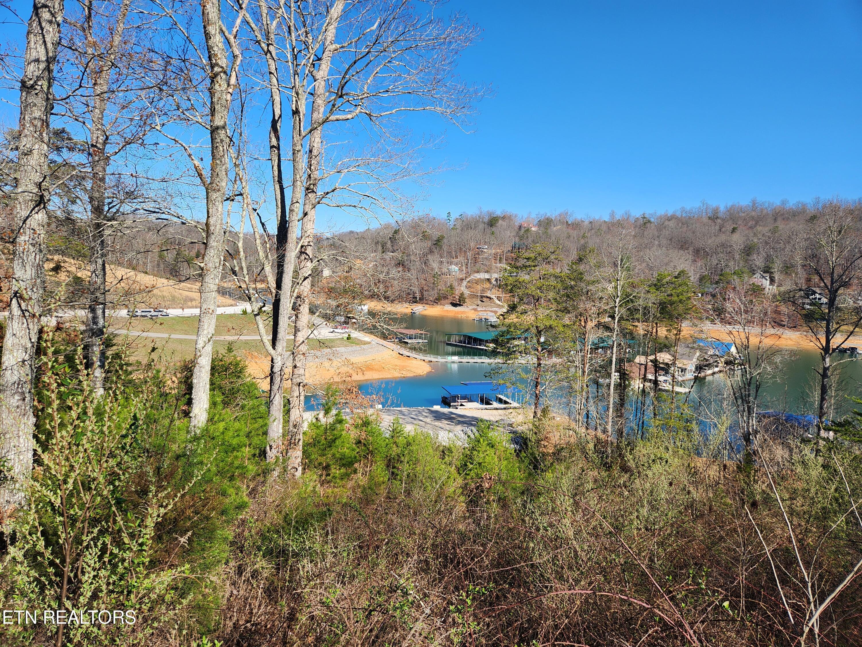 Norris Lake Real Estate - Image# 1