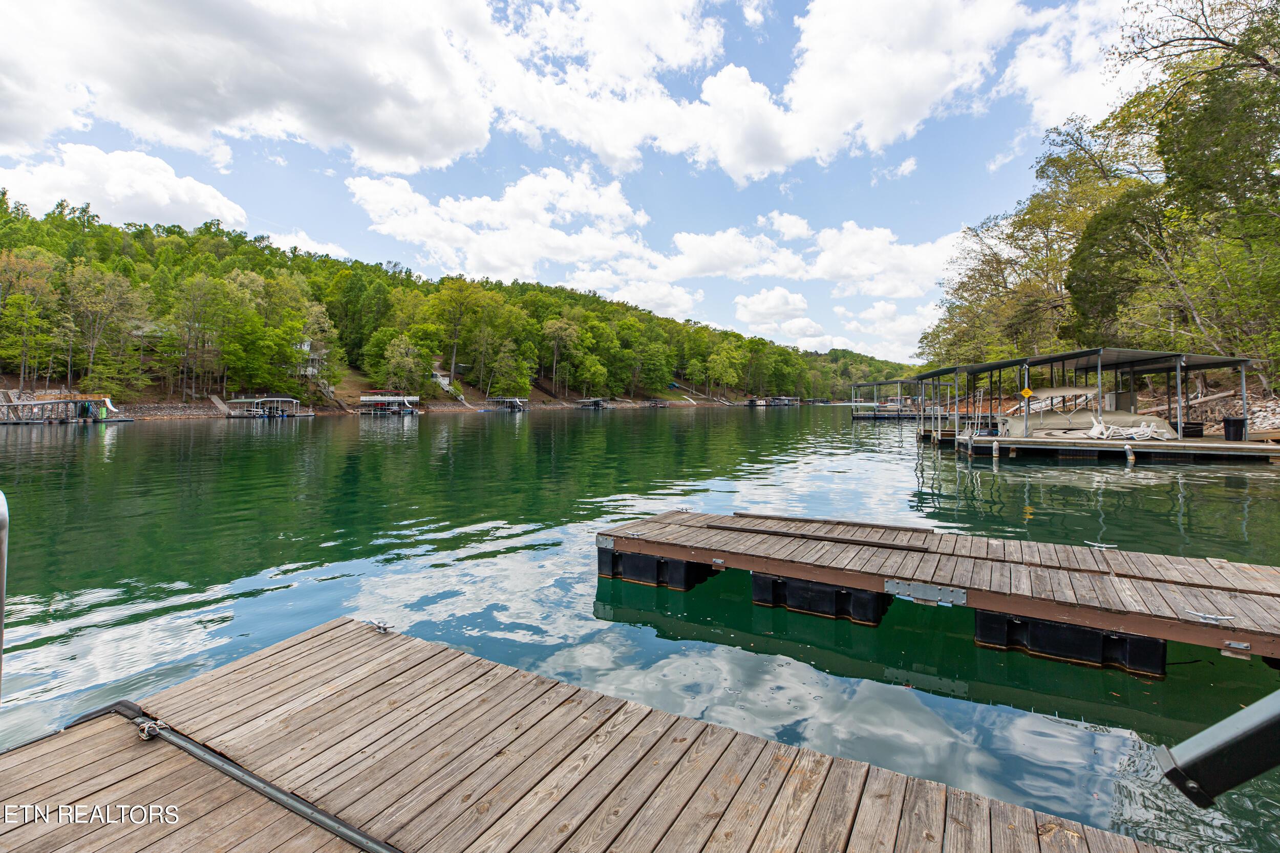 Norris Lake Real Estate - Image# 9