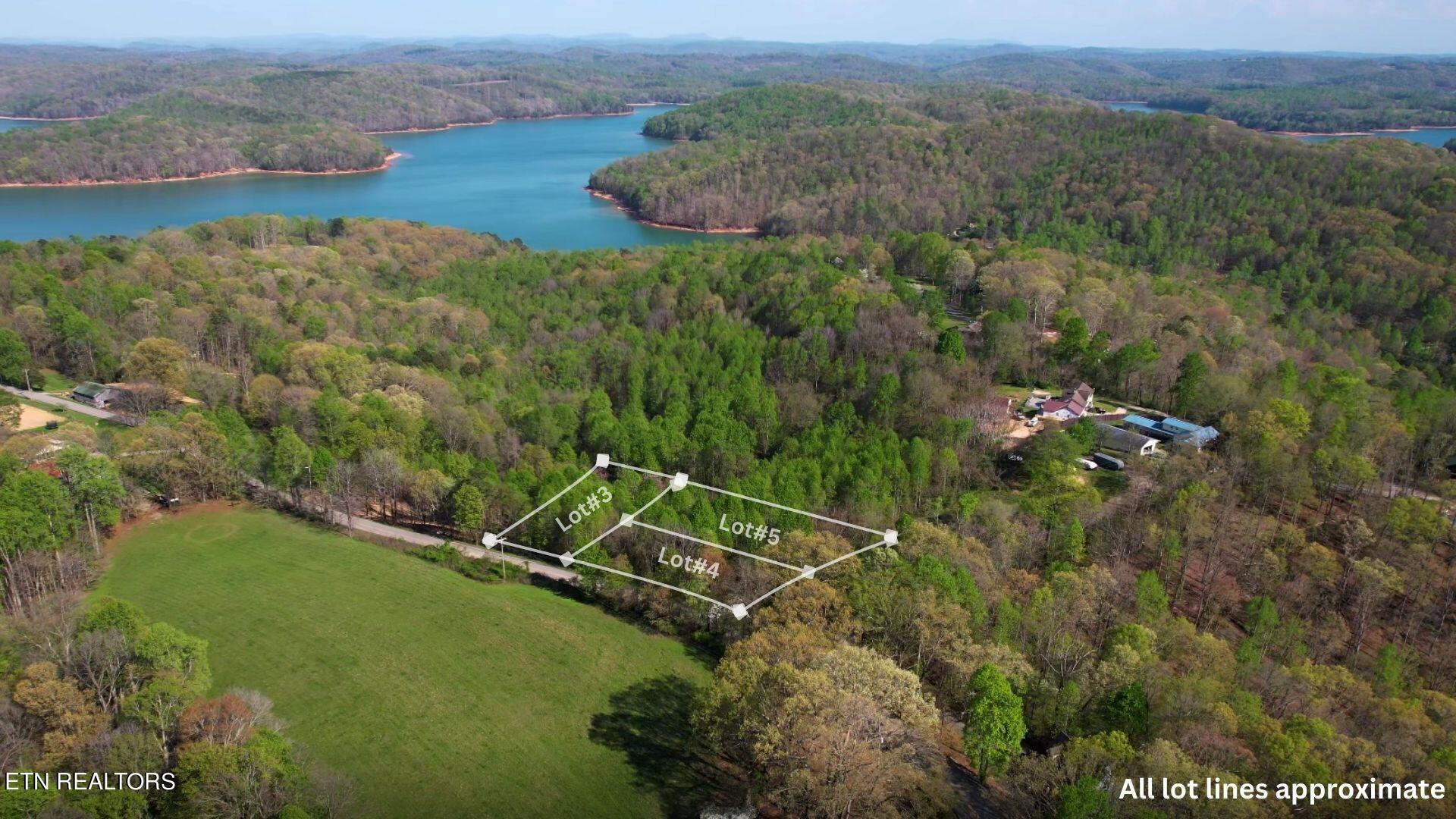 Norris Lake Real Estate - Image# 3