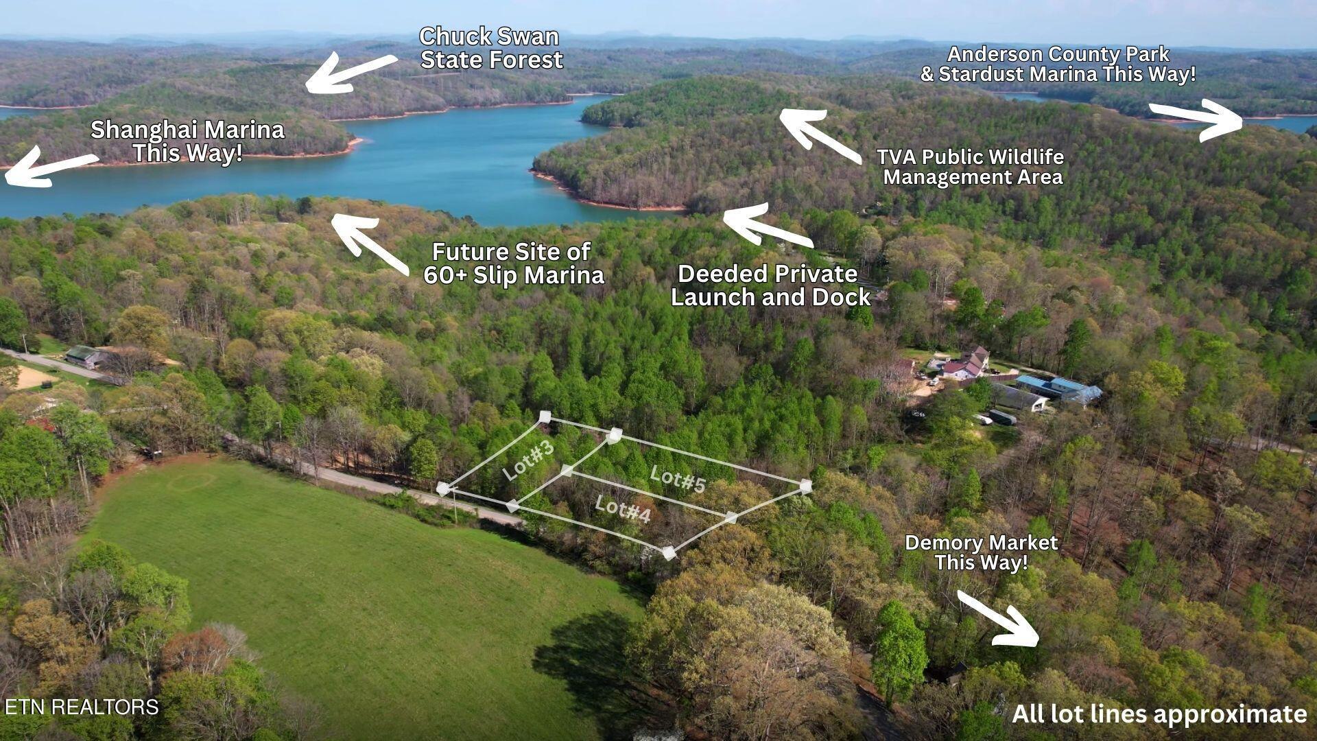 Norris Lake Real Estate - Image# 3