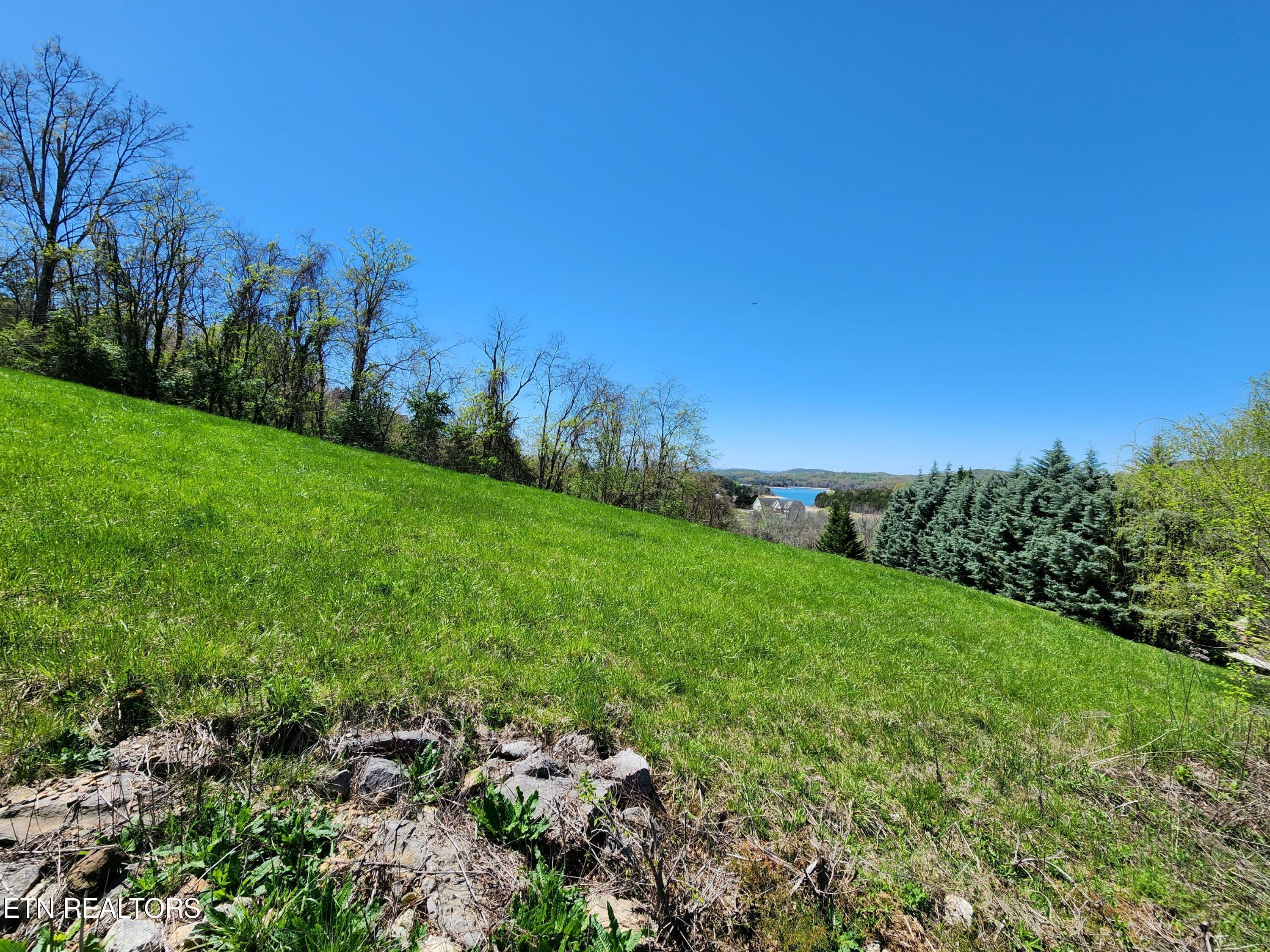 Norris Lake Real Estate - Image# 3