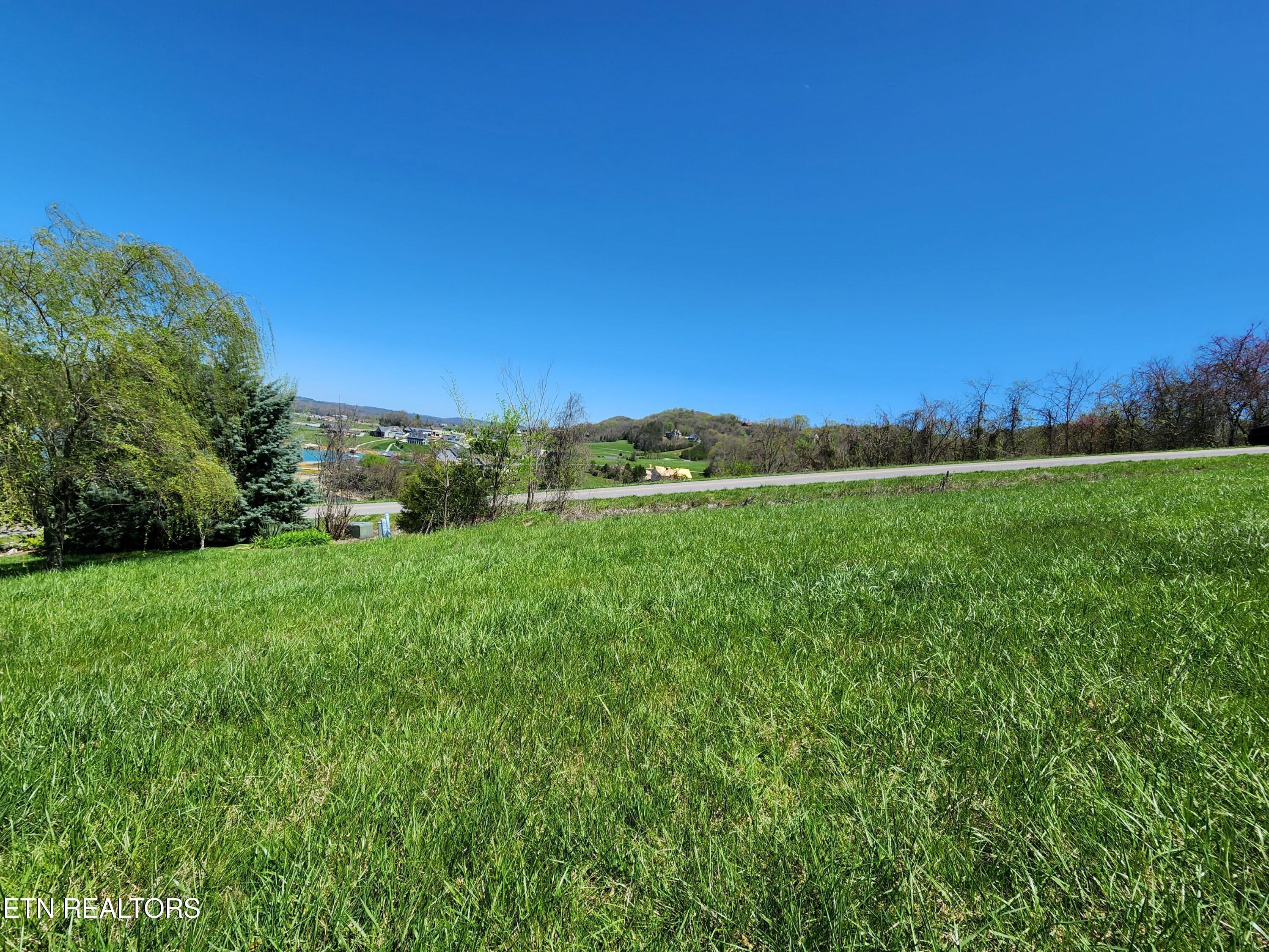 Norris Lake Real Estate - Image# 7