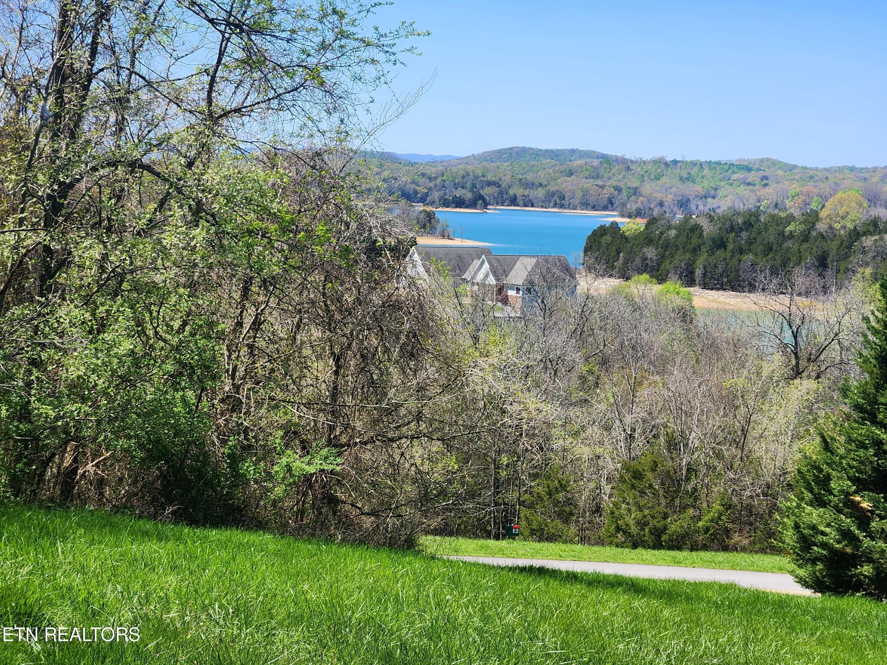 Norris Lake Real Estate - Image# 2