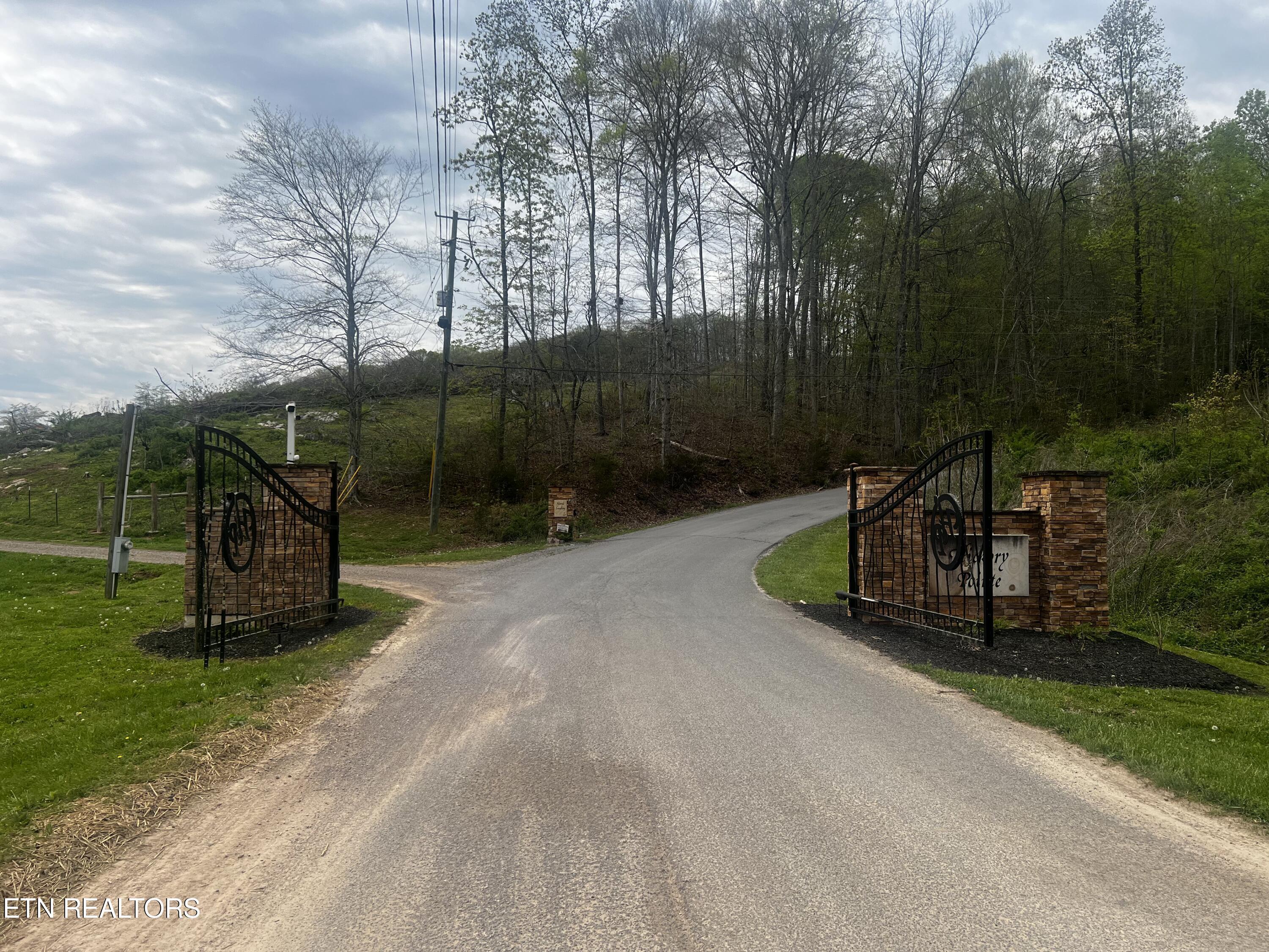 Norris Lake Real Estate - Image# 2