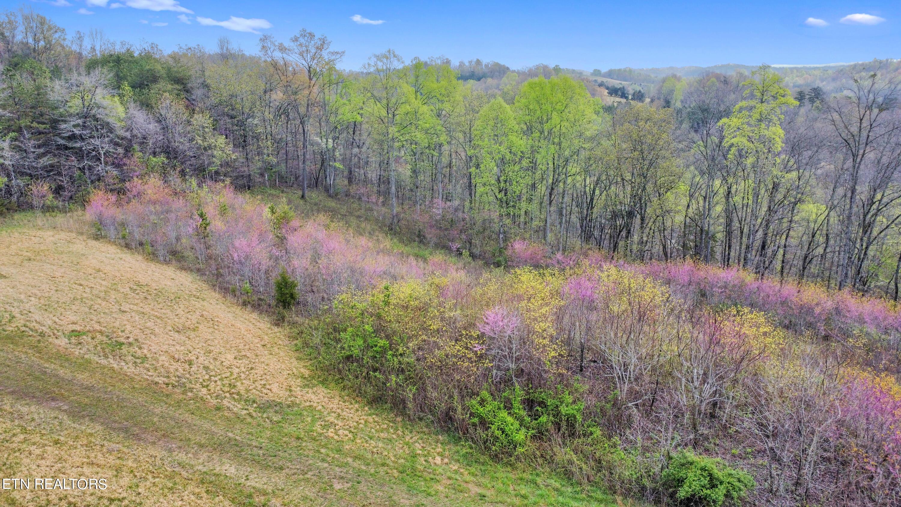 Norris Lake Real Estate - Image# 2