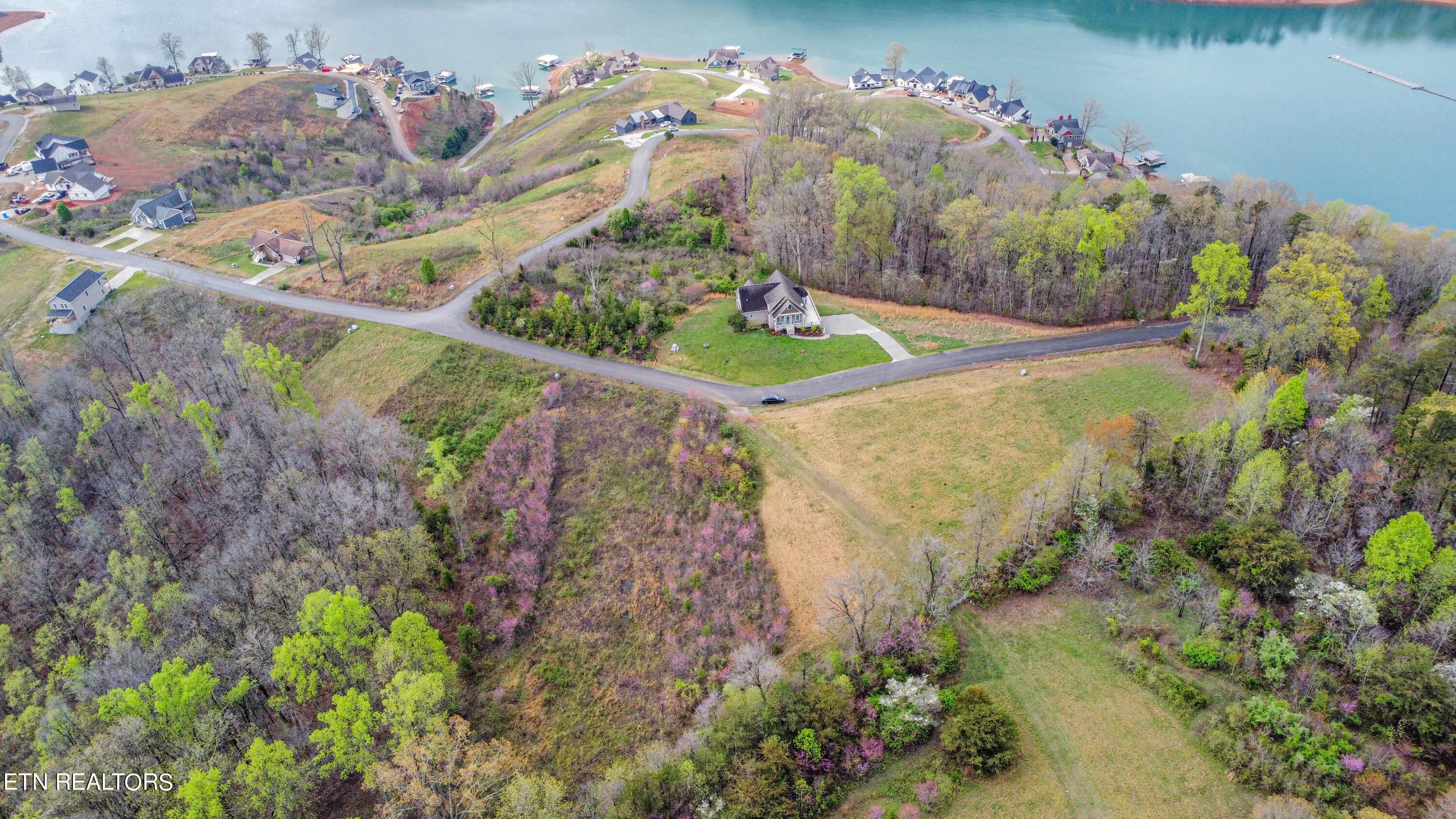 Norris Lake Real Estate - Image# 5