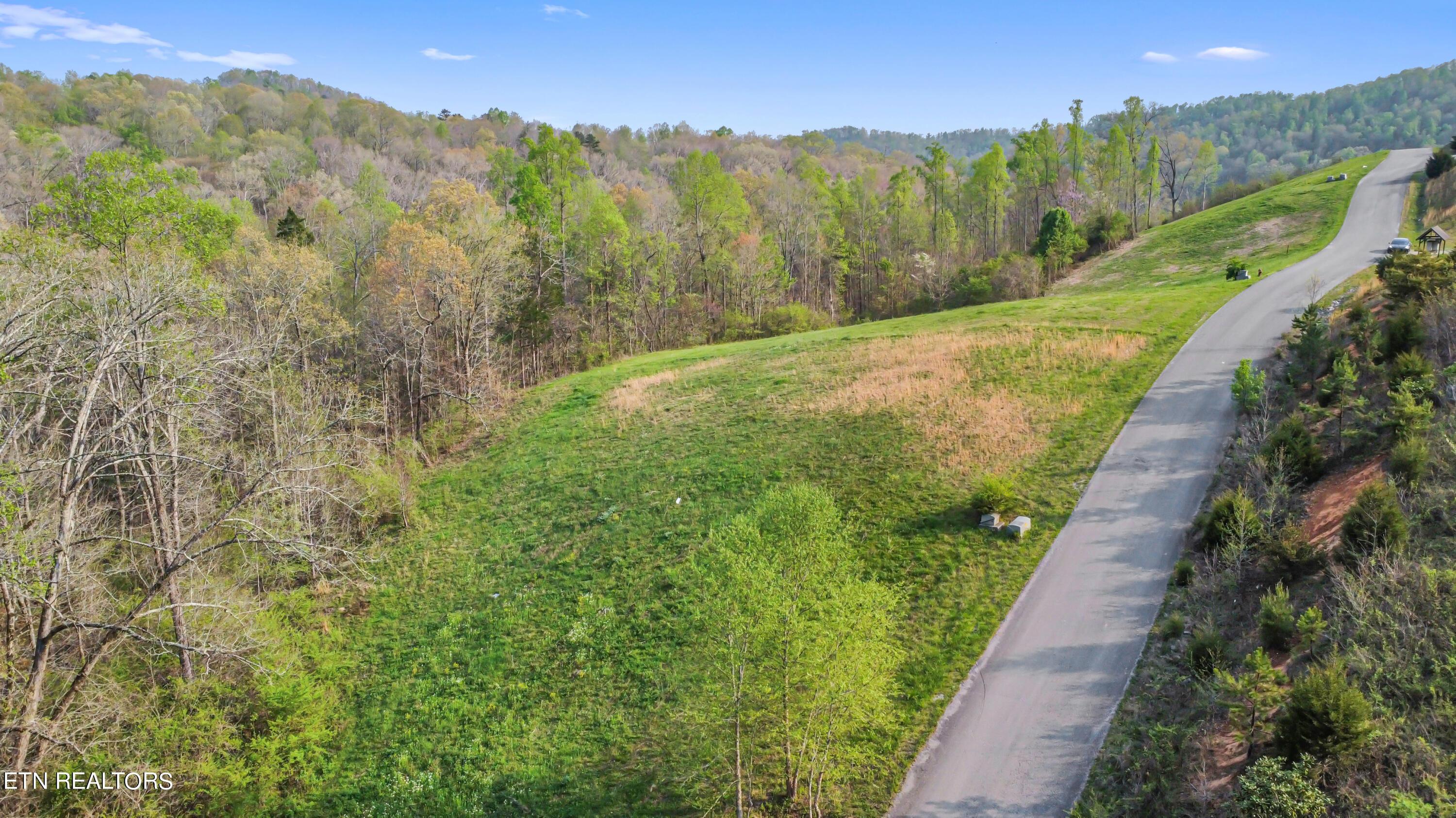 Norris Lake Real Estate - Image# 9