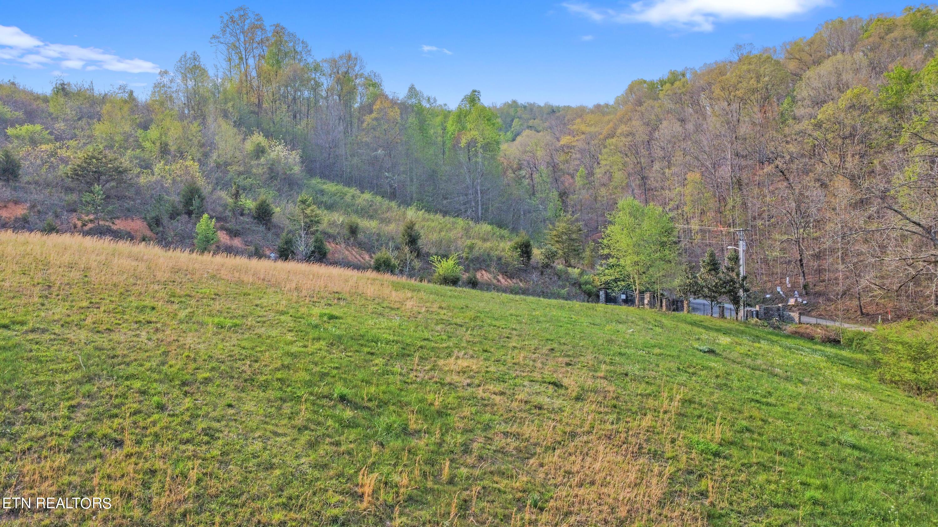 Norris Lake Real Estate - Image# 13