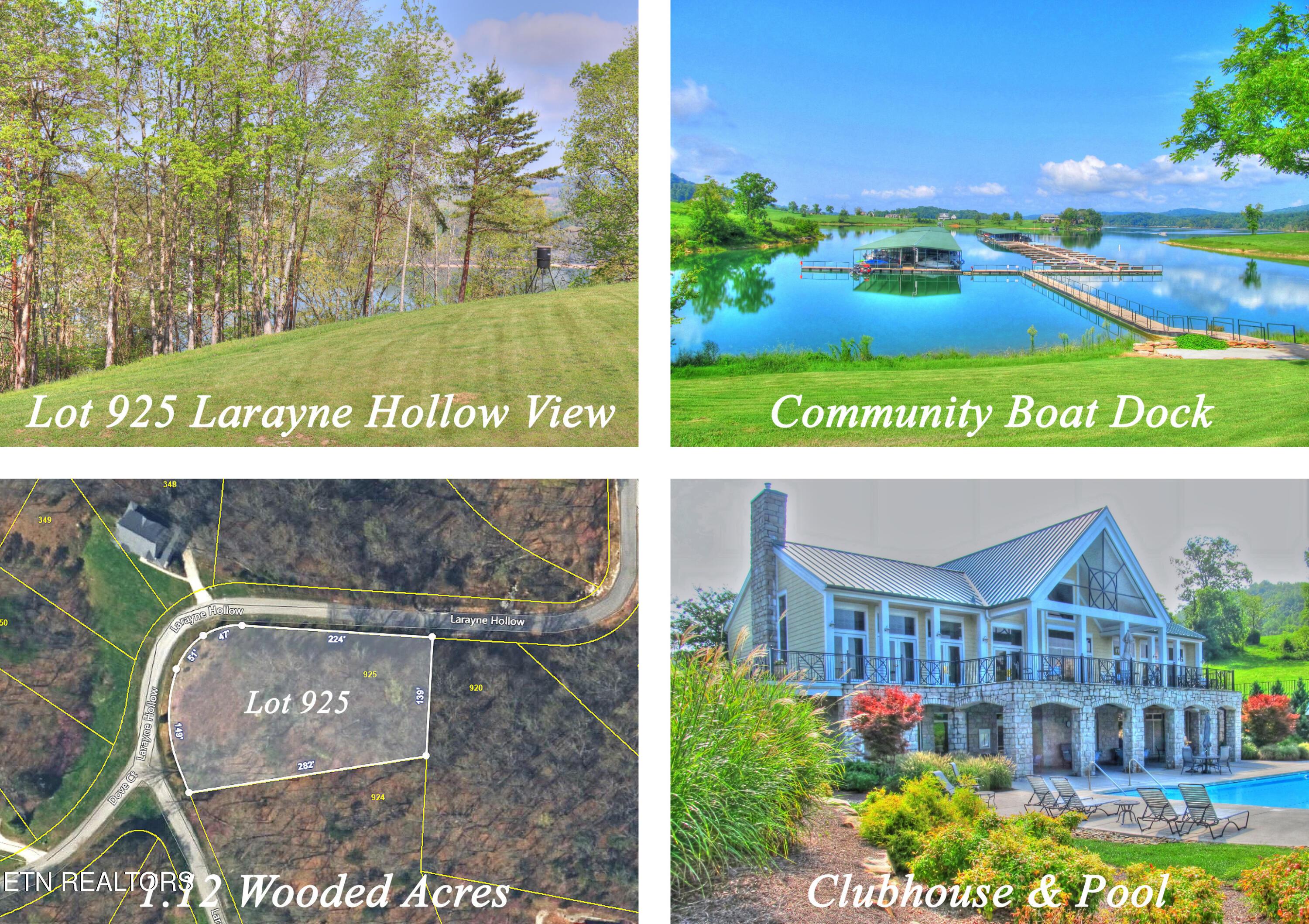 Norris Lake Real Estate - Image# 1