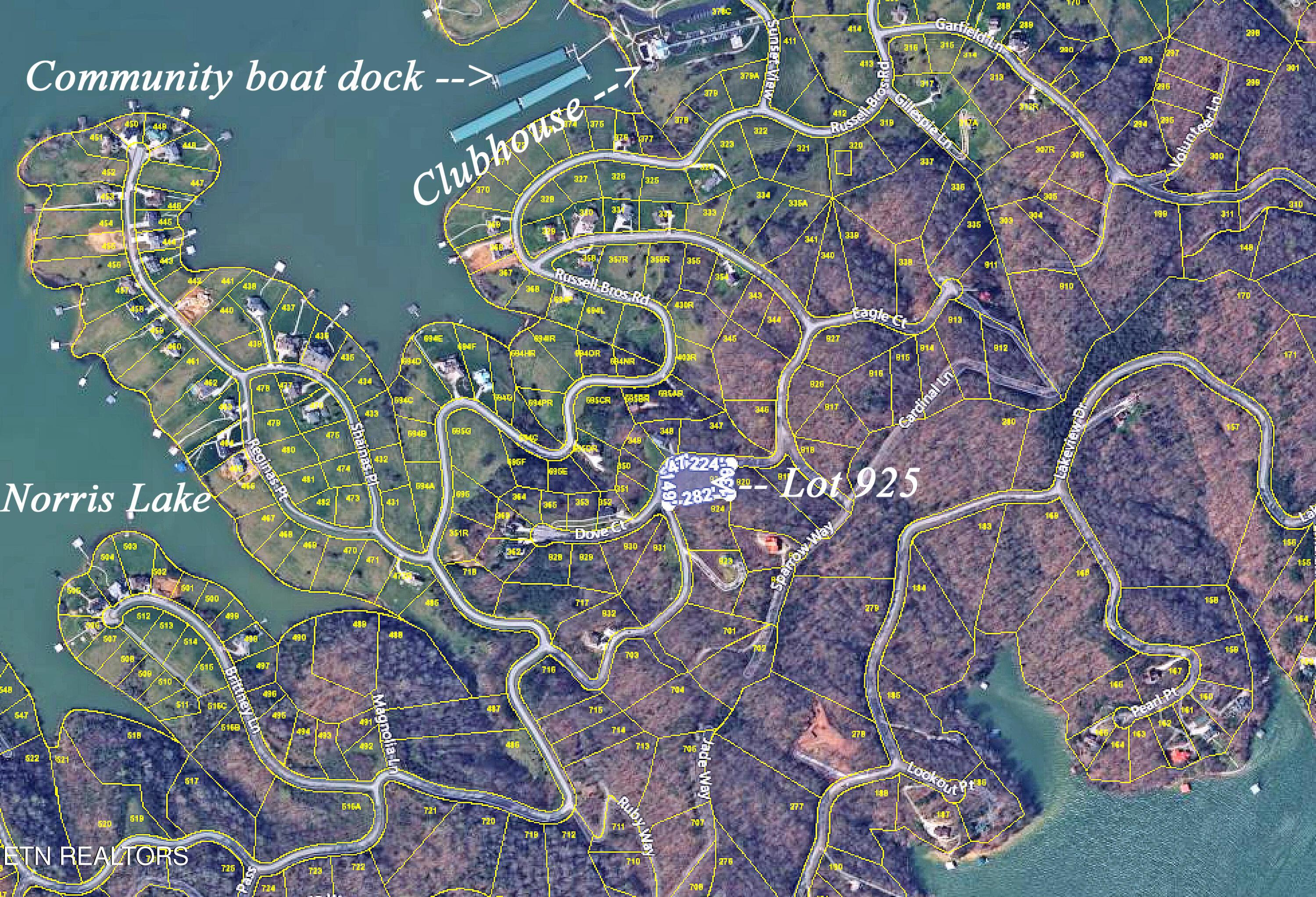 Norris Lake Real Estate - Image# 5