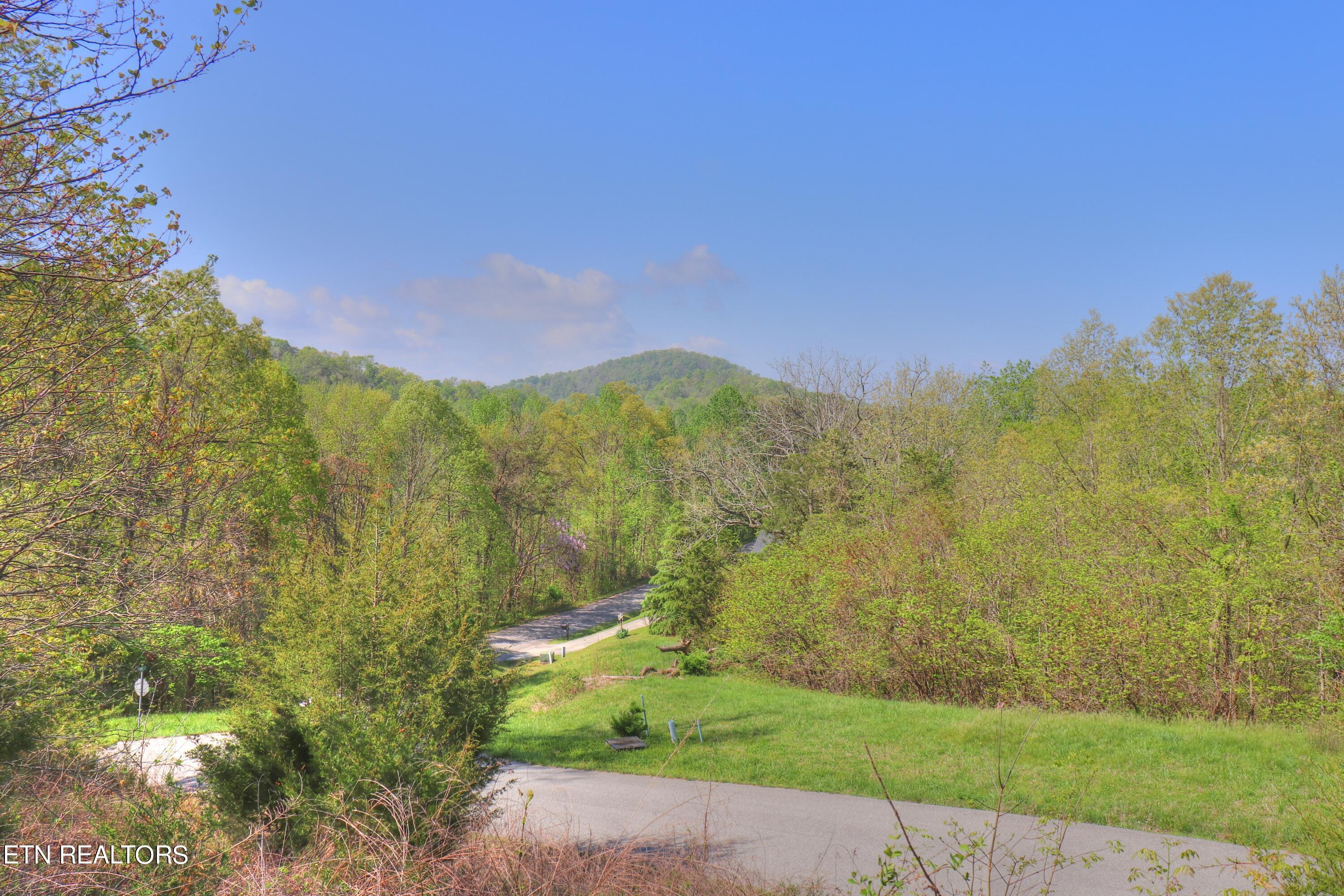 Norris Lake Real Estate - Image# 10