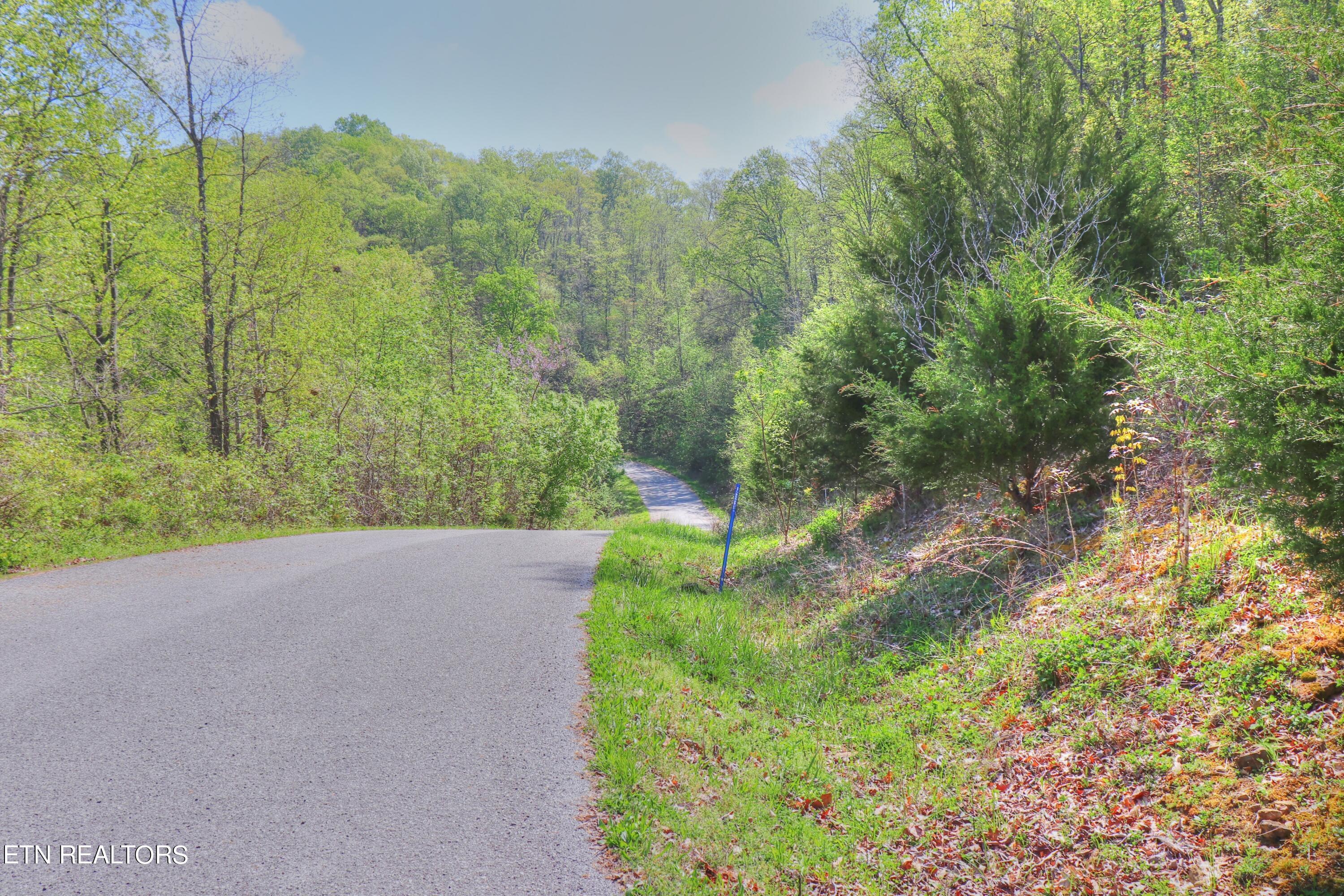 Norris Lake Real Estate - Image# 17