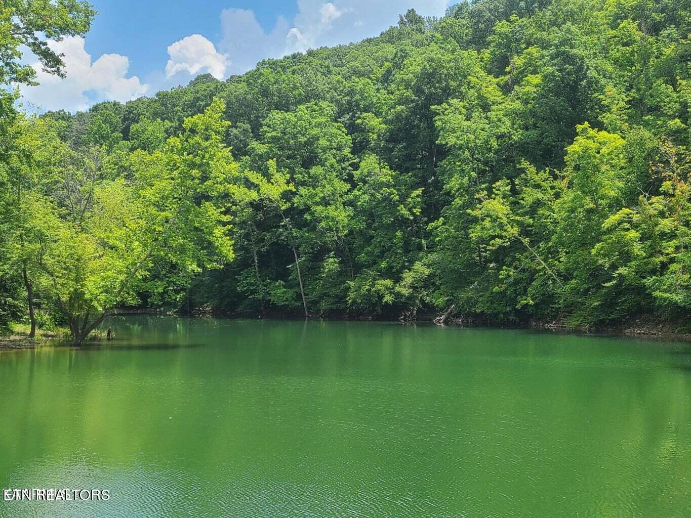 Norris Lake Real Estate - Image# 3