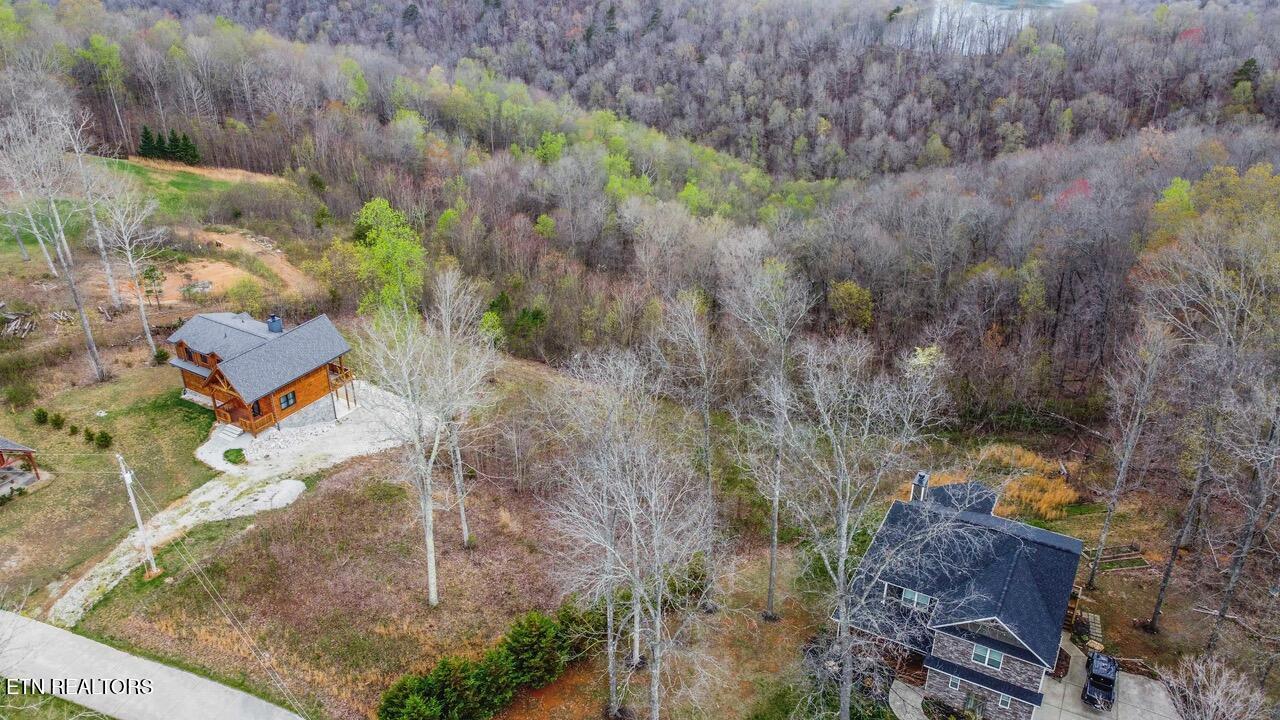 Norris Lake Real Estate - Image# 9