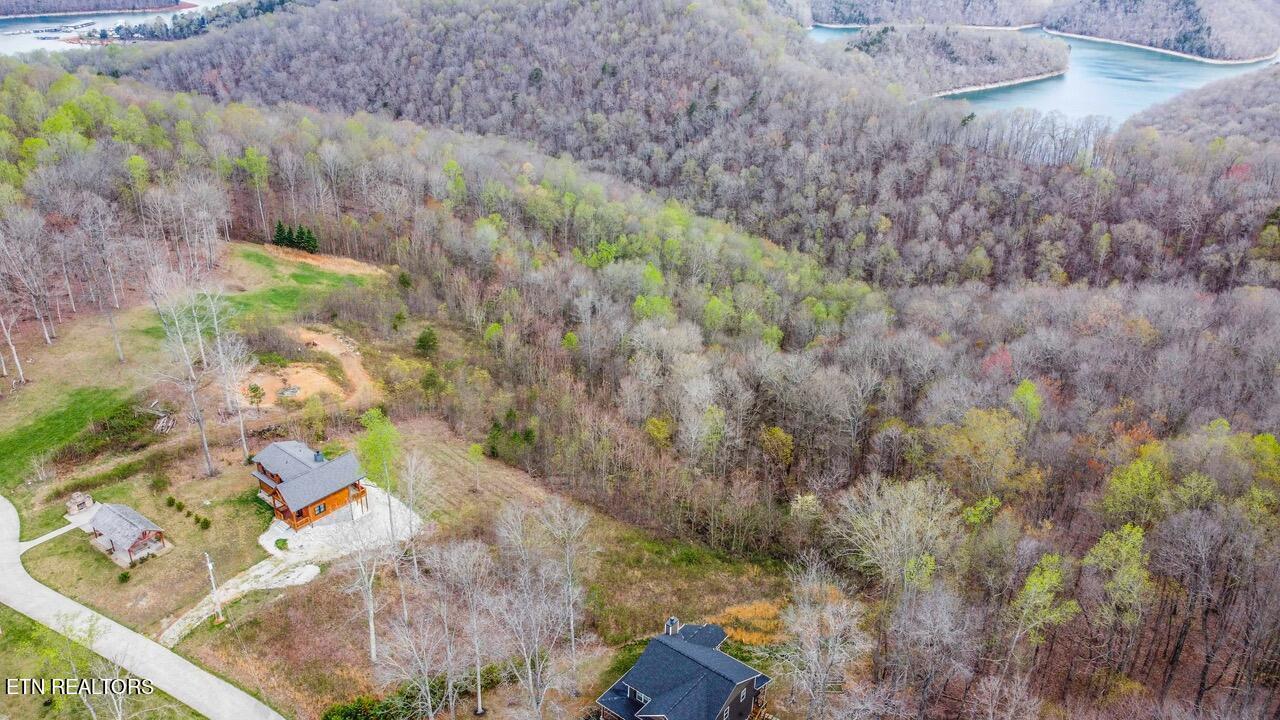 Norris Lake Real Estate - Image# 21