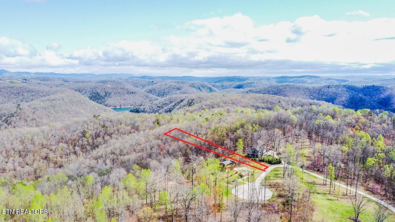 Norris Lake Real Estate - Image# 6