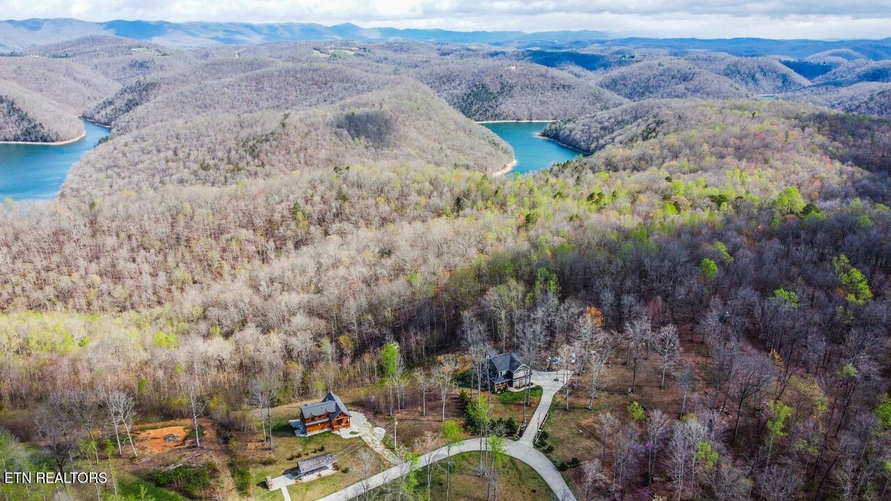 Norris Lake Real Estate - Image# 22