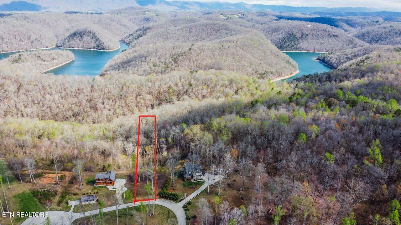 Norris Lake Real Estate - Image# 13