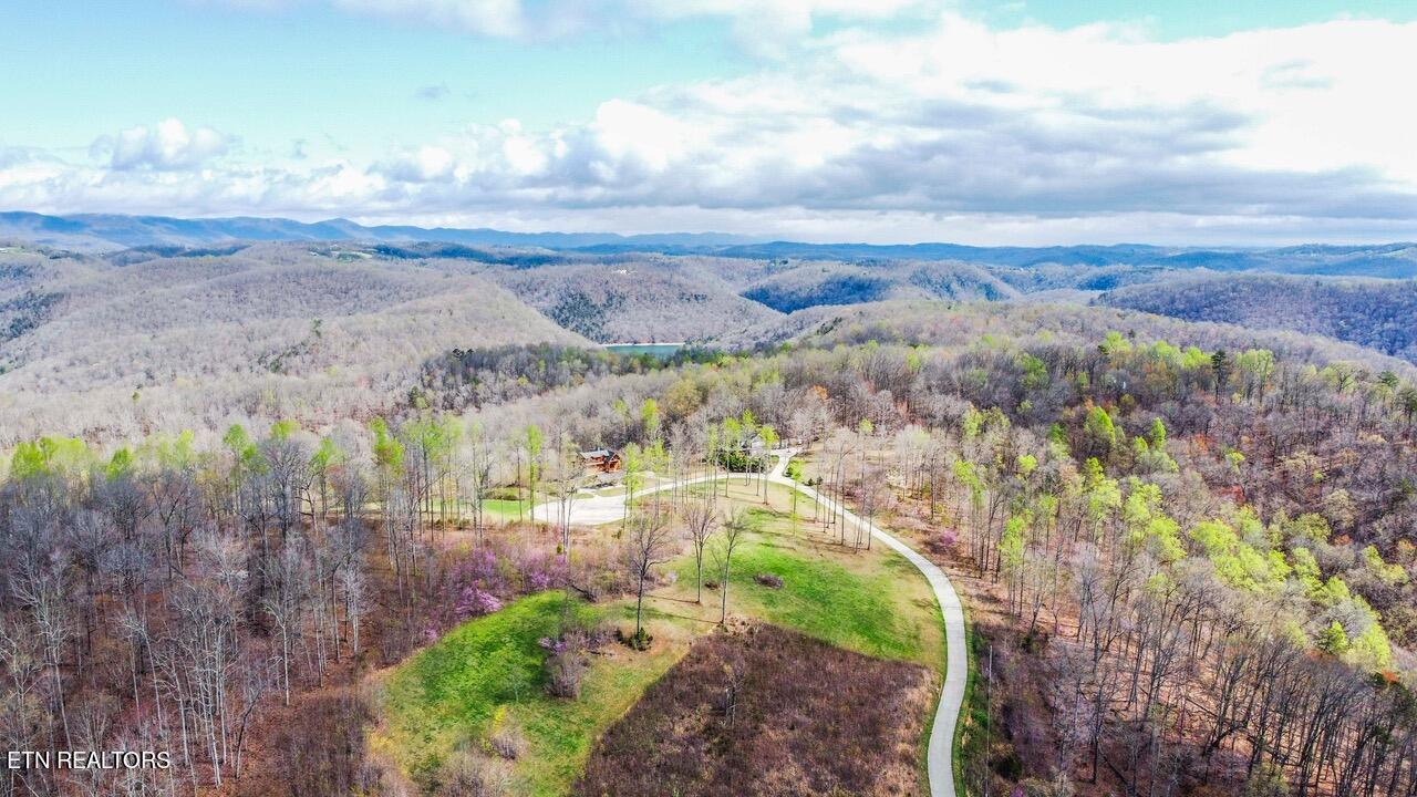 Norris Lake Real Estate - Image# 7