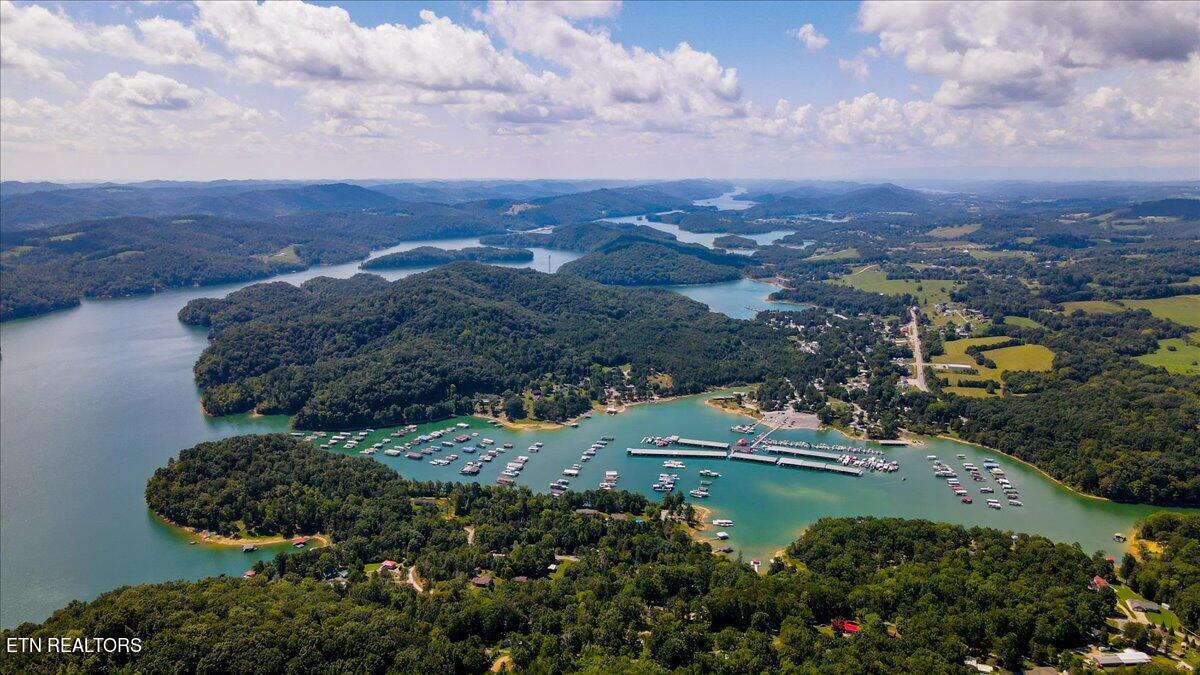 Norris Lake Real Estate - Image# 5