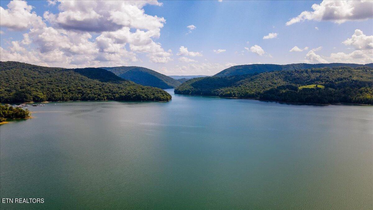 Norris Lake Real Estate - Image# 10