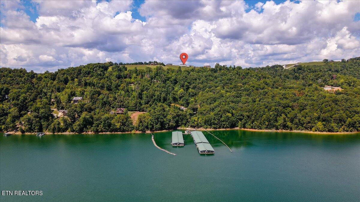 Norris Lake Real Estate - Image# 6