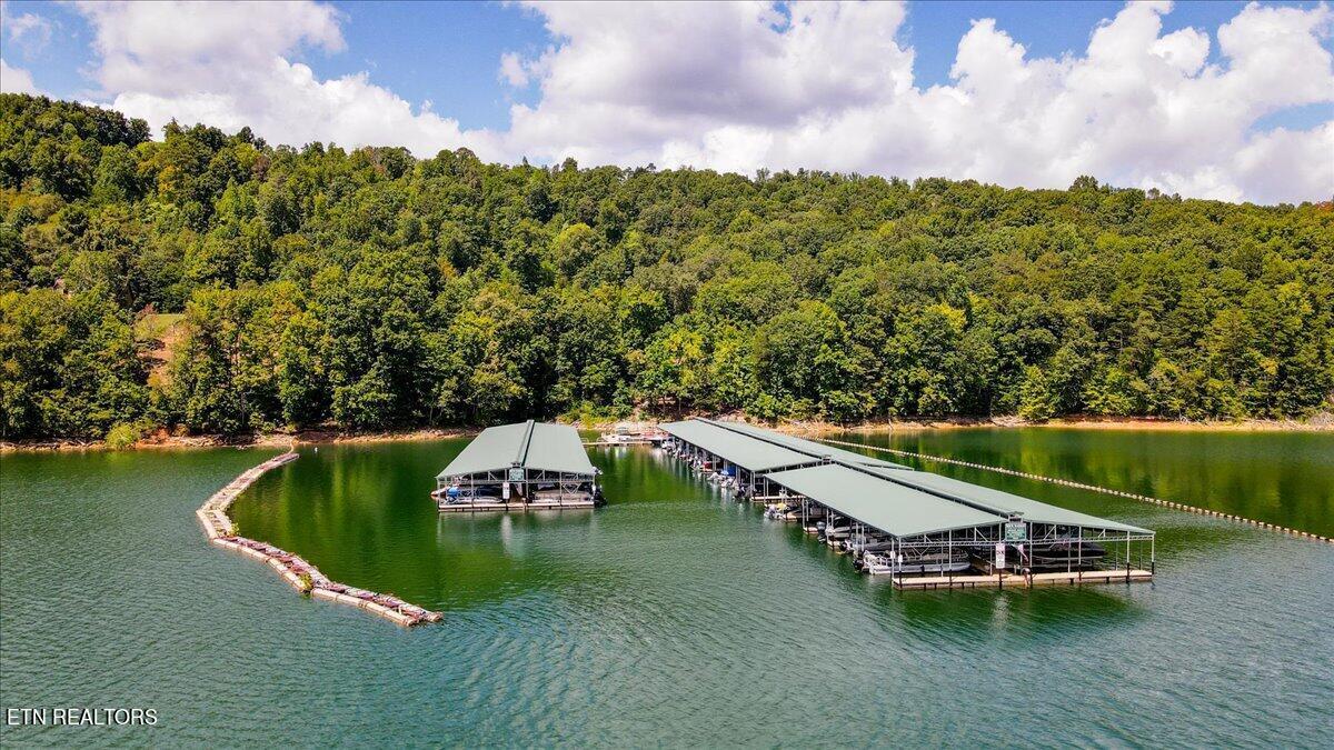 Norris Lake Real Estate - Image# 7