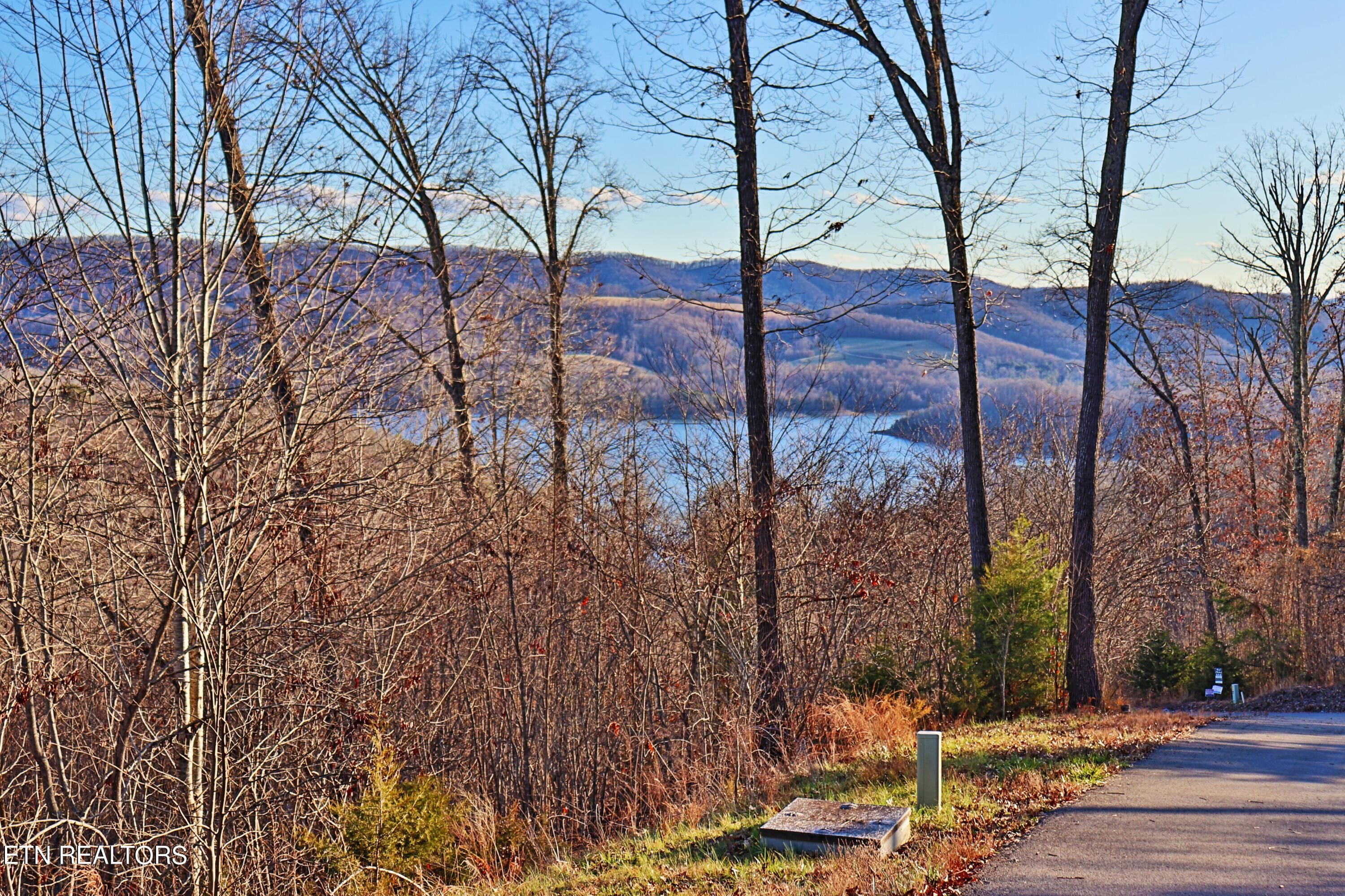 Norris Lake Real Estate - Image# 4